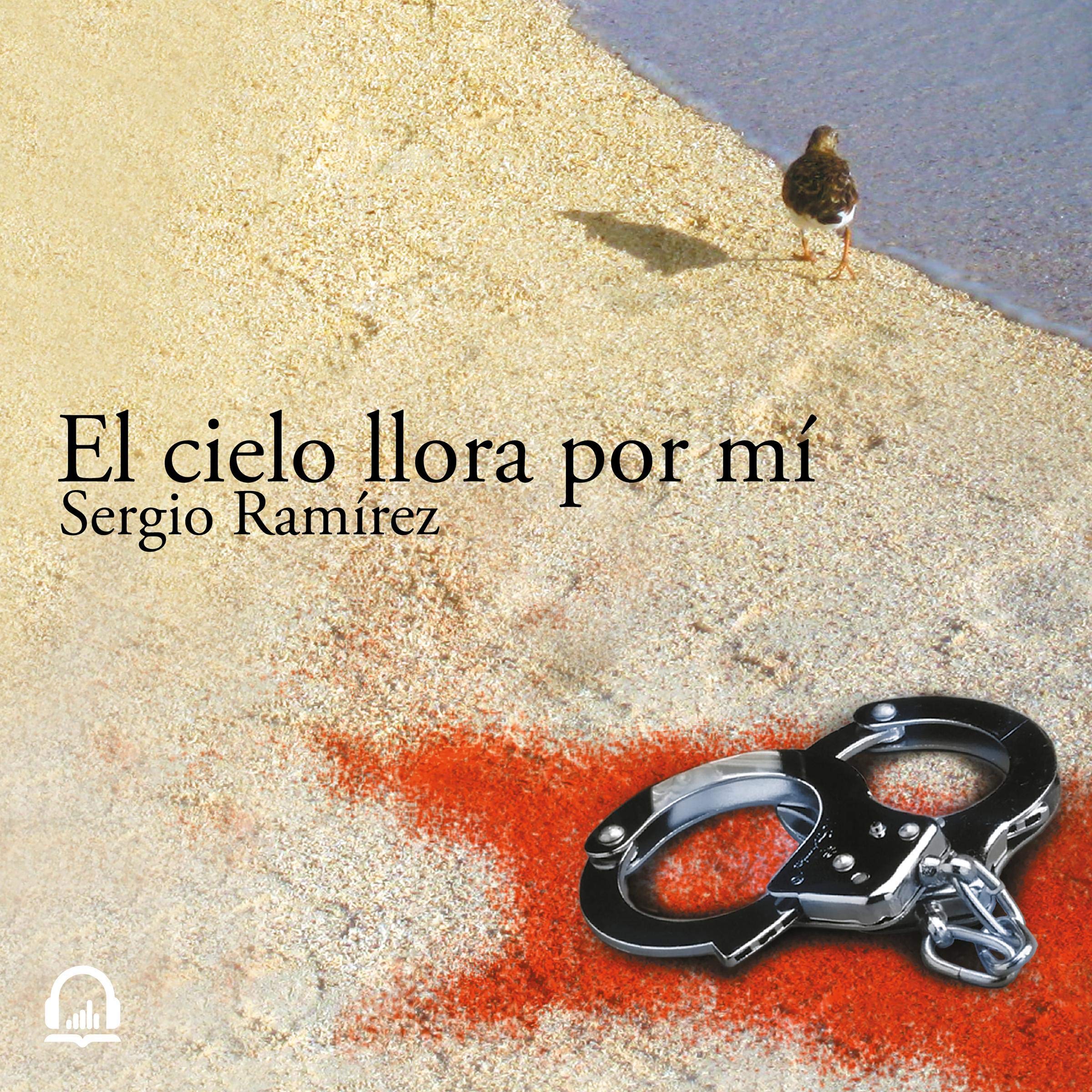Cover art for El cielo llora por mi
