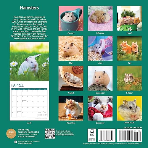 Miniatura 2 de Bright Day - Calendario mensual de pared de hámsters 2024, 12 x 12 pulgadas, bonito regalo de fotografía de naturaleza