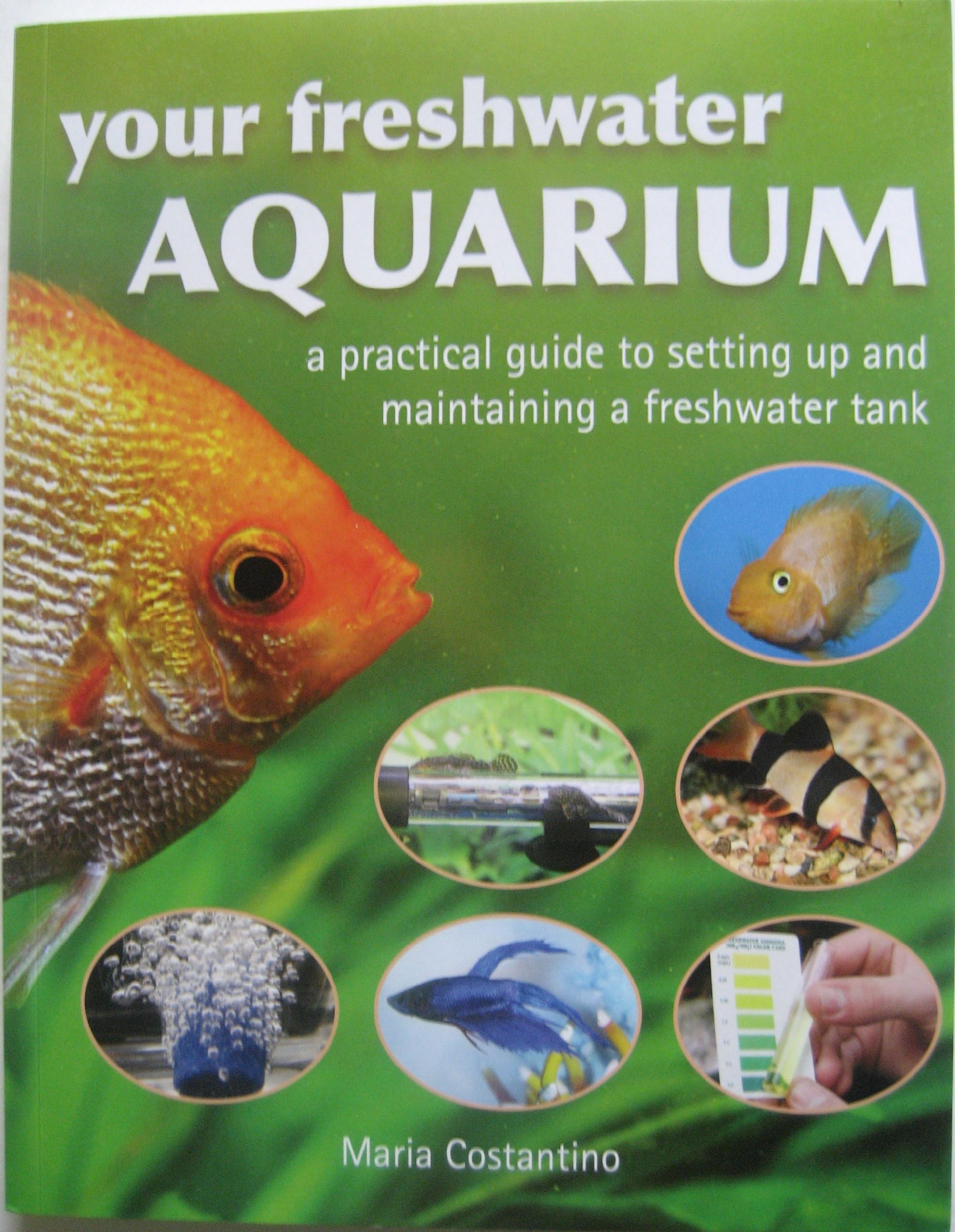 Your Freshwater Aquarium