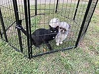 Review Image by L R L R