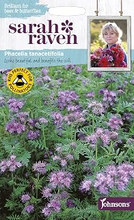 Phacelia Tanacetifolia Sarah Raven Seeds