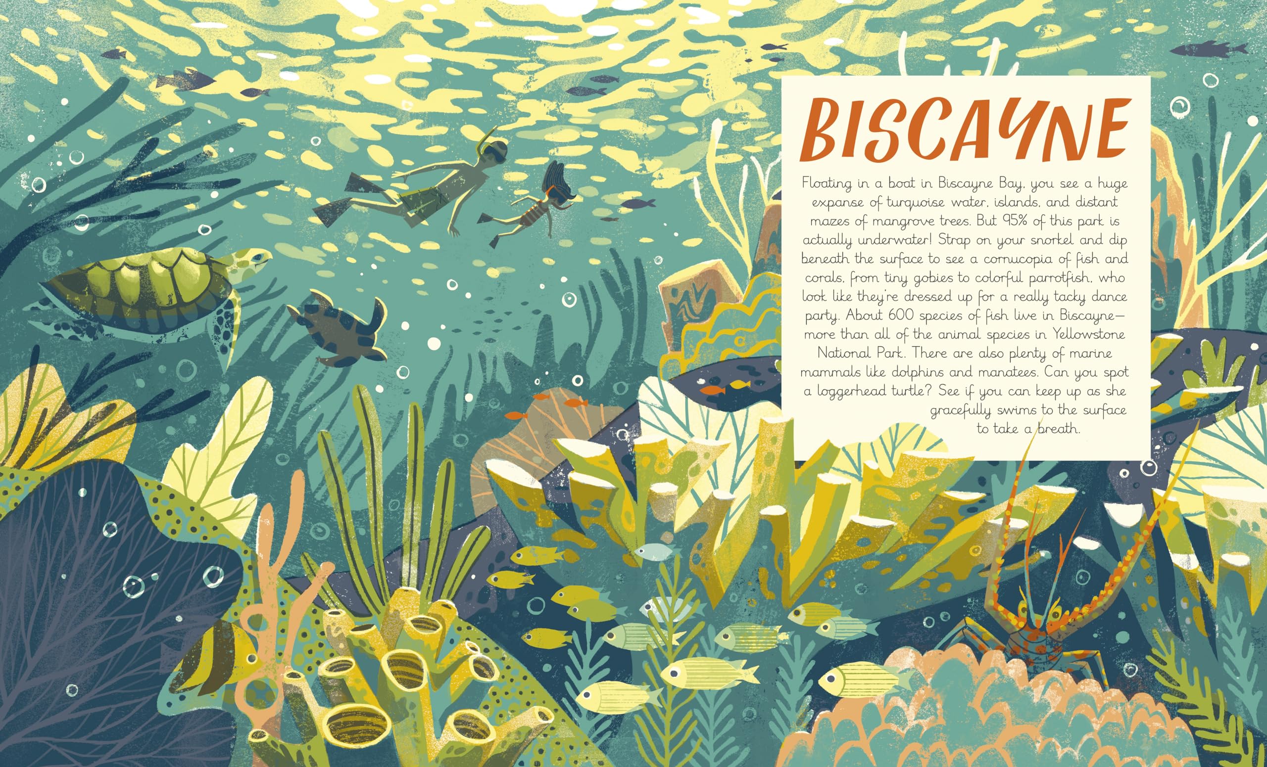 National Parks of the USA (Americana) - Image 4