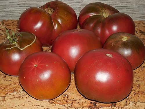 Vista 2 de Semillas Tomate Príncipe Negro Gigante Heirloom Vegetal Sin OMG