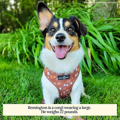 Miniatura 71 de Lucy & Co. Arneses reversibles para perros pequeños, medianos y grandes, acolchados, ajustables, para pastor alemán, pug, Bulldog francés, Bulldog