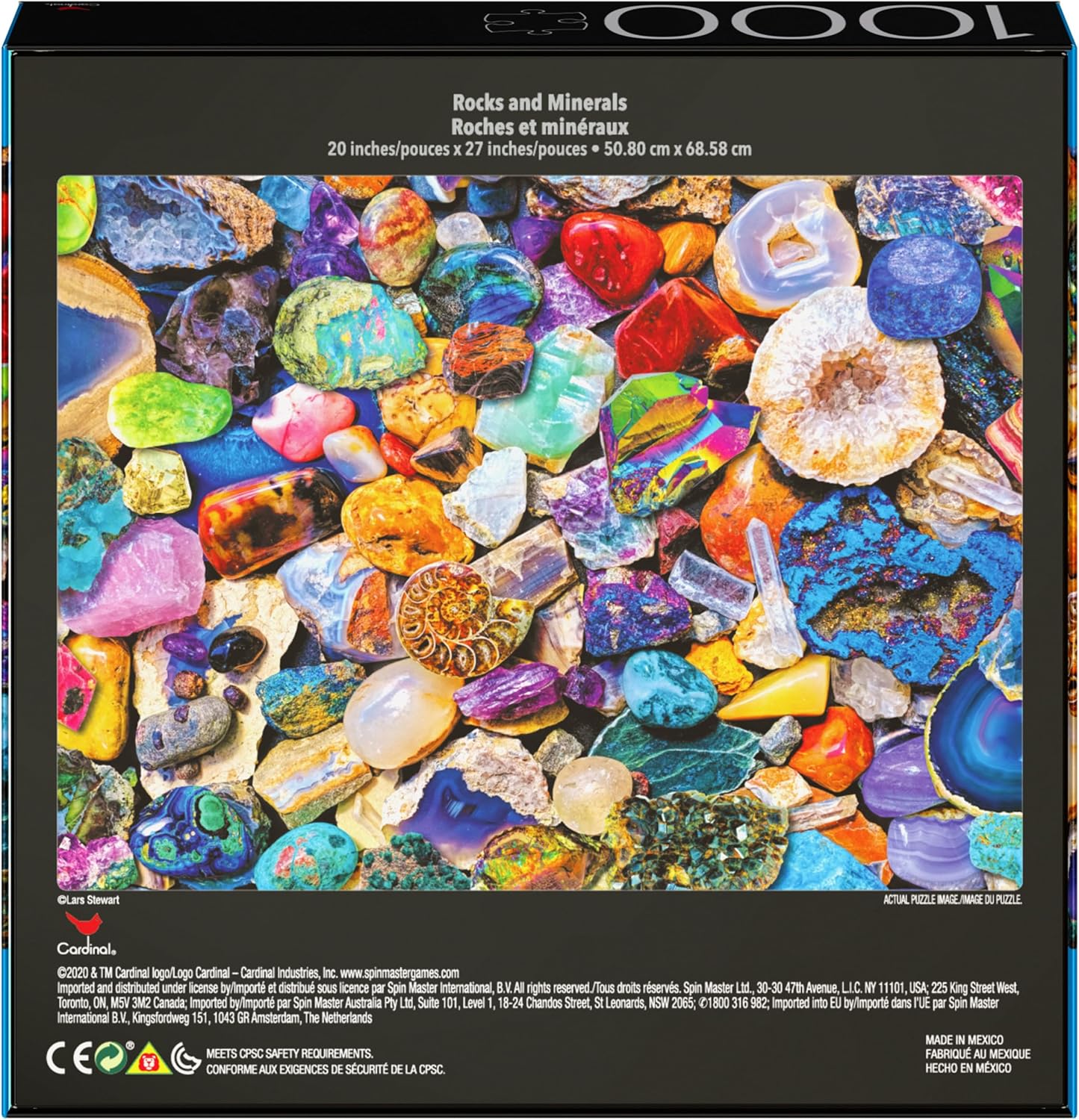 2-Pack of 1000-Piece Jigsaw Puzzles, Succulents & Rocks and Minerals | Puzzles for Adults and Kids Ages 8+, Amazon Exclusive