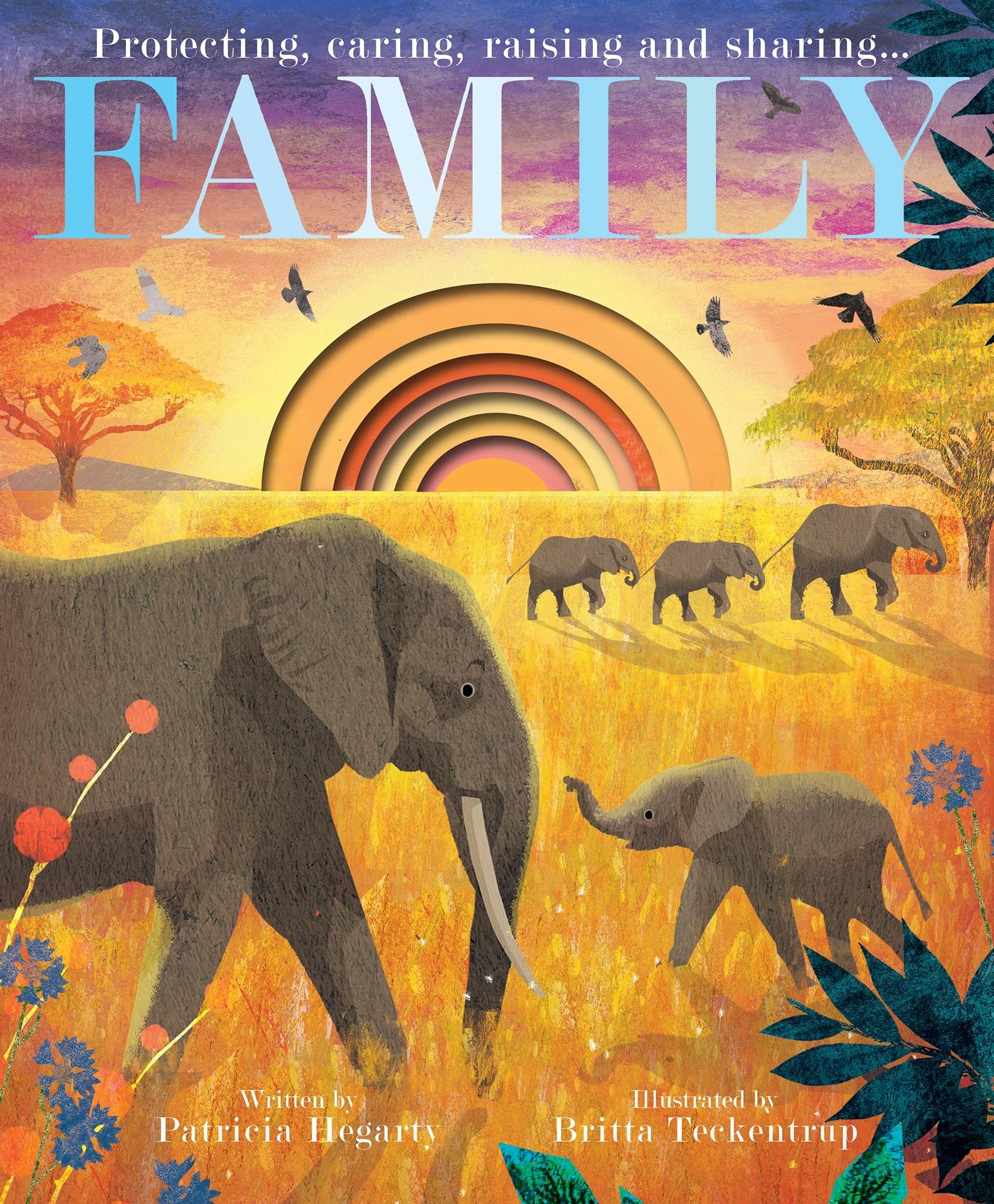 Family by Patricia Hegarty (Hardback Book)