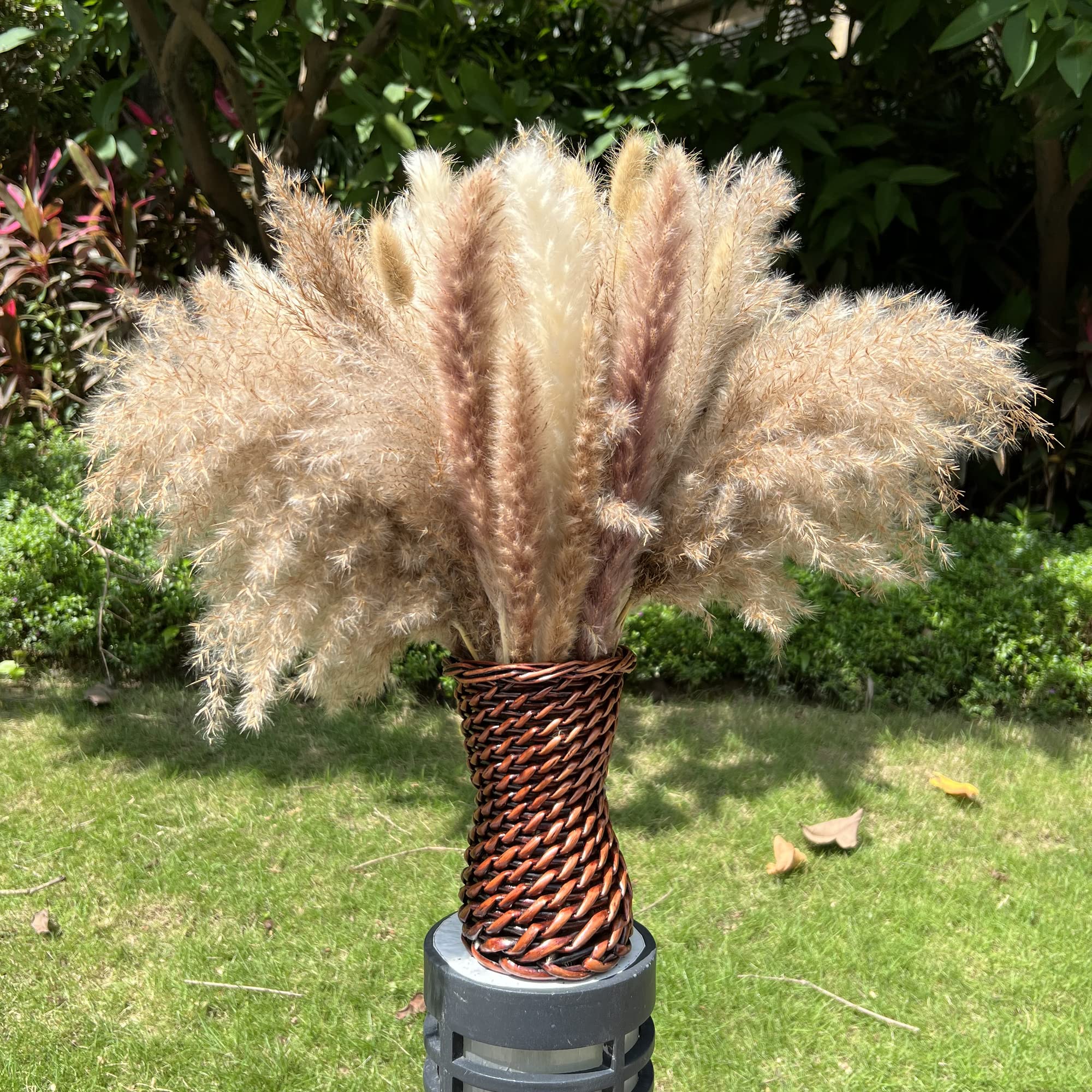 Buy 100Pcs Pampas Grass Boho Home Decor 17 inch Natural Dried Flowers