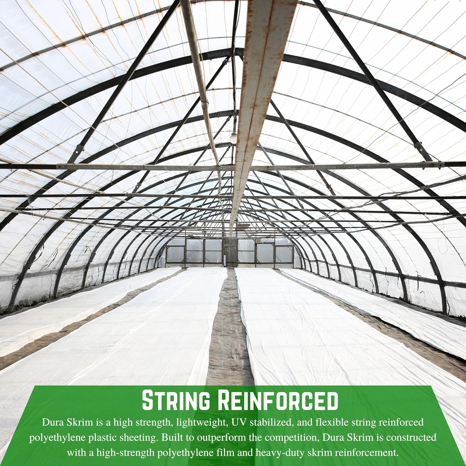 Farm Plastic Supply - String Reinforced 6 Mil White Plastic Sheeting - Overwintering Film, 6 Mil White Plastic Film, Greenhouse Plastic, Overwintering Plastic, Durable Plastic Sheeting (12' x 10')