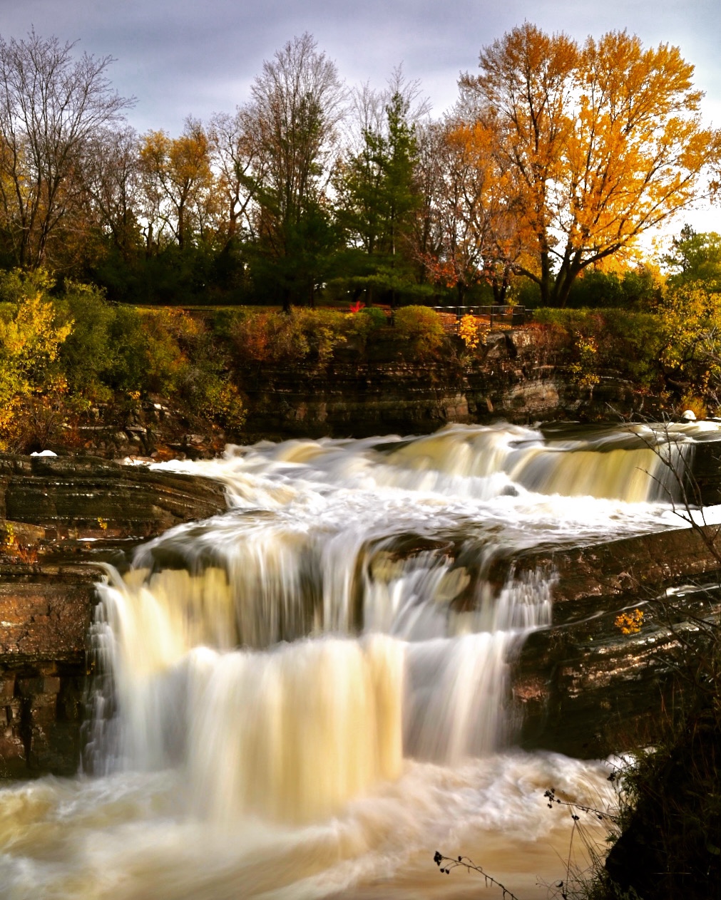Fremragende ajout à n'importe quel objectif !