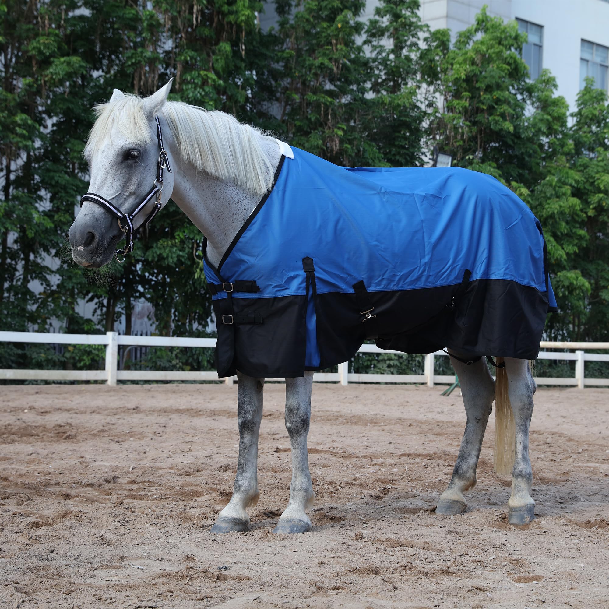 Alfombra impermeable para caballos Leberna transpirable y ligera de 6 pies