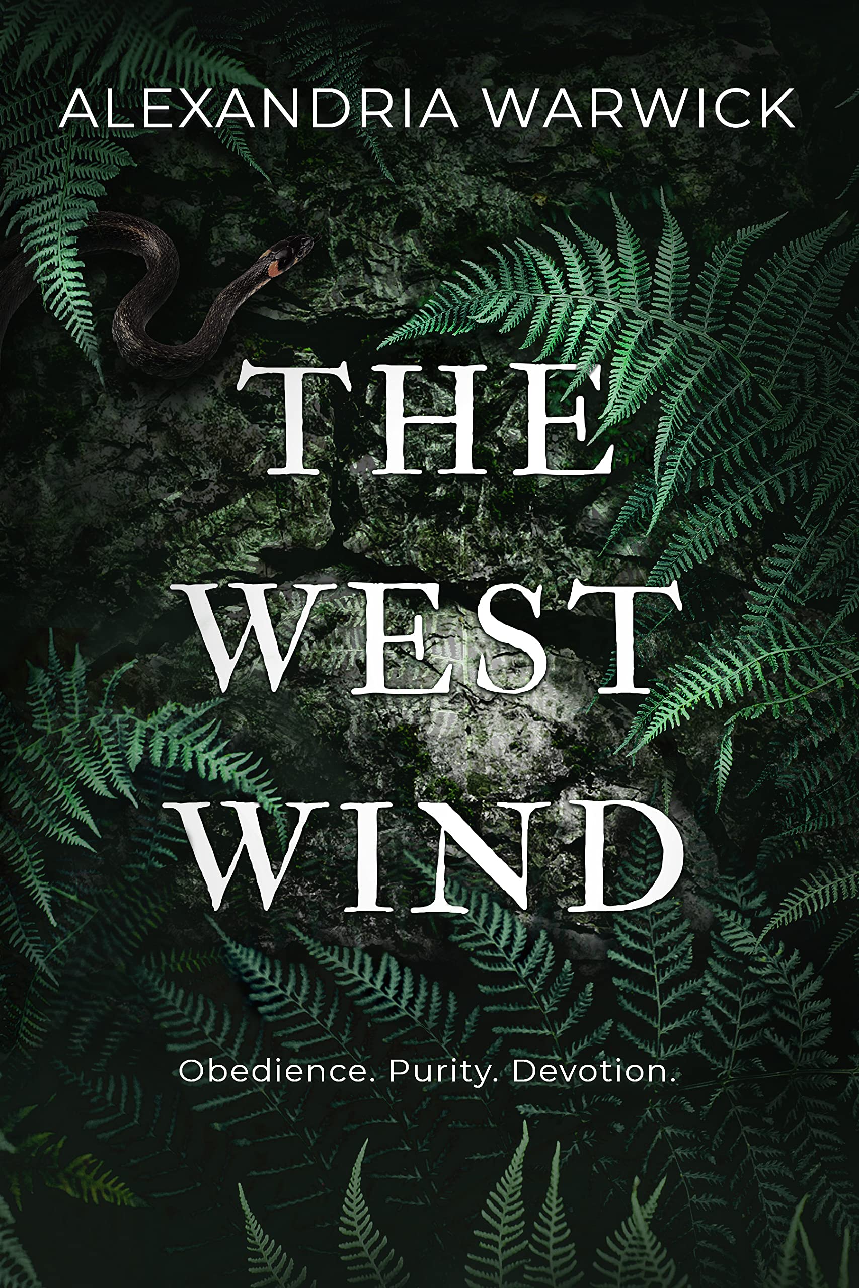 The West Wind (The Four Winds Book 2)