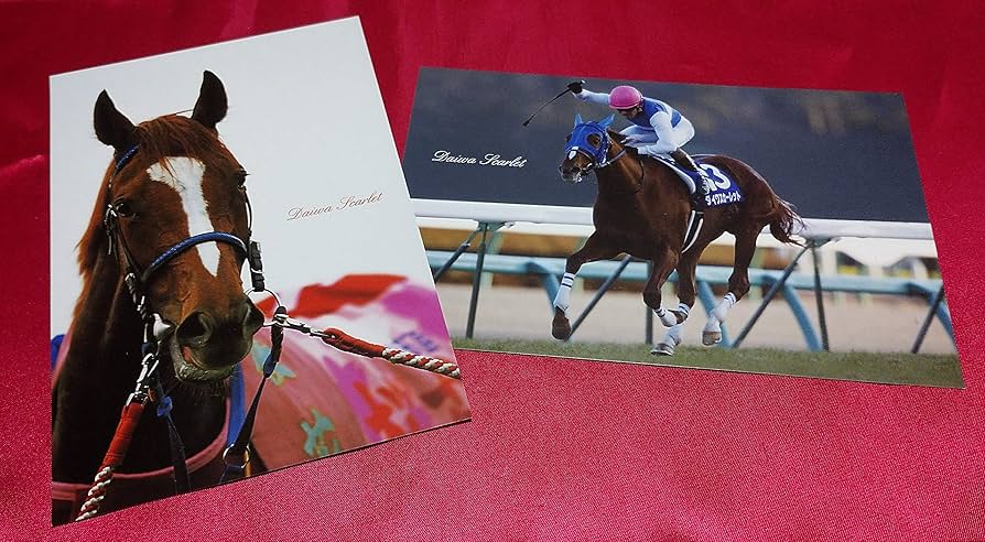 【新品 優駿特別編集・永久保存版】ダイワスカーレット写真集＆DVD風とともに・・ Amazon.co.jp: 優駿 特別編集 永久保存版 ダイワスカーレット