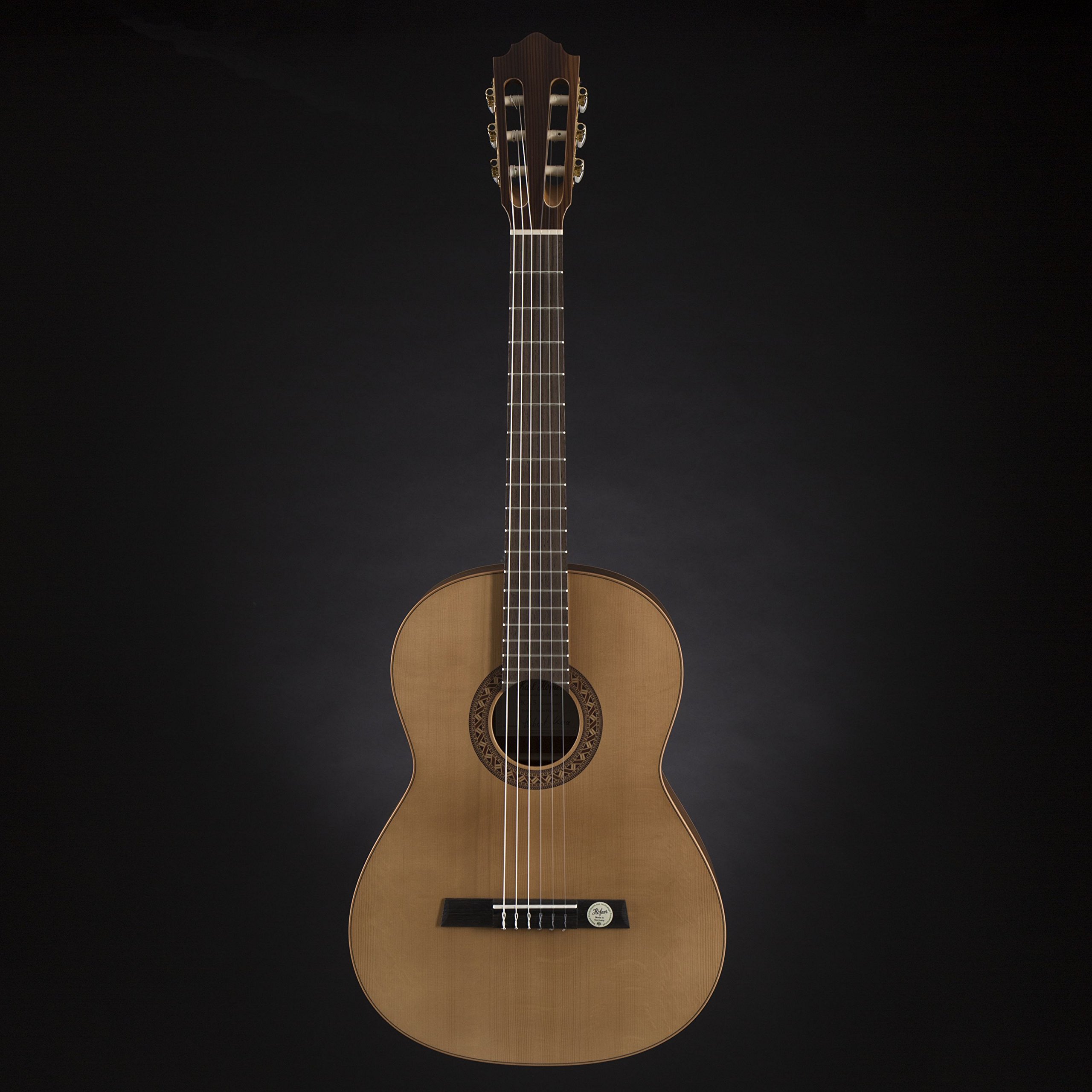 HGL 5 Guitarra de concierto