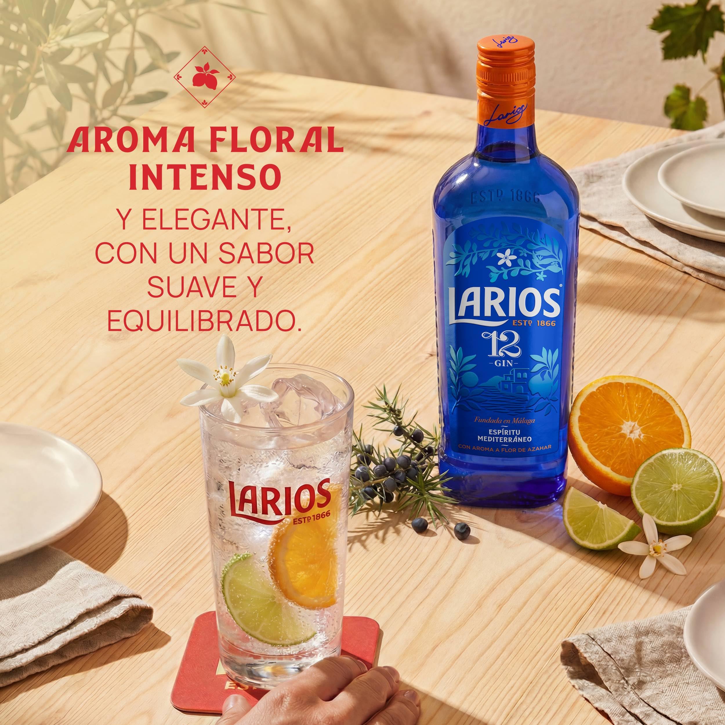 Larios 12 Ginebra Premium Mediterránea 70cl