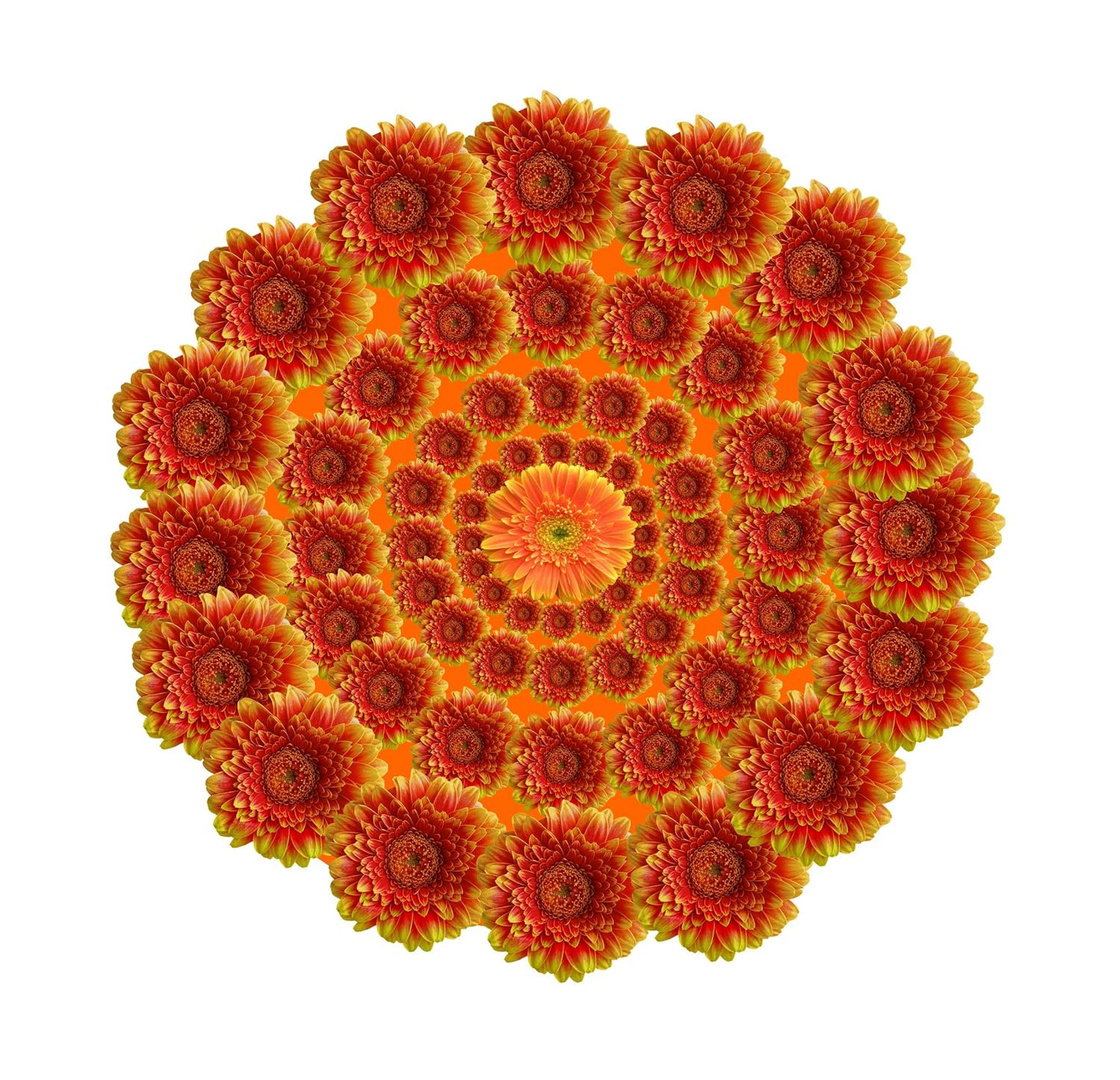 Decor Kafe Beautiful Flower Rangoli Wall Sticker 40 cm X 40 cm | Wall ...