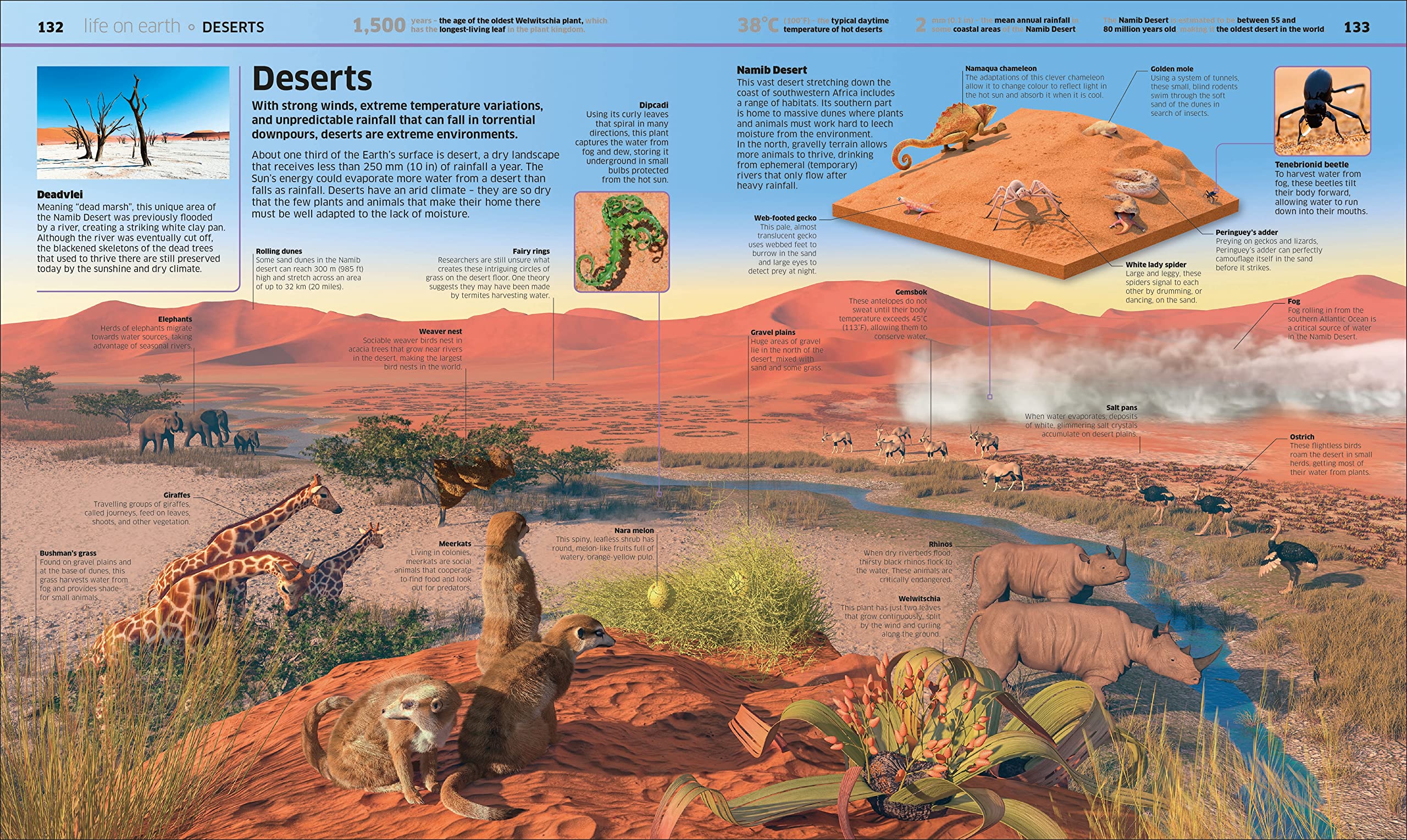 Knowledge Encyclopedia Earth!: Our Exciting World As You've Never Seen It Before