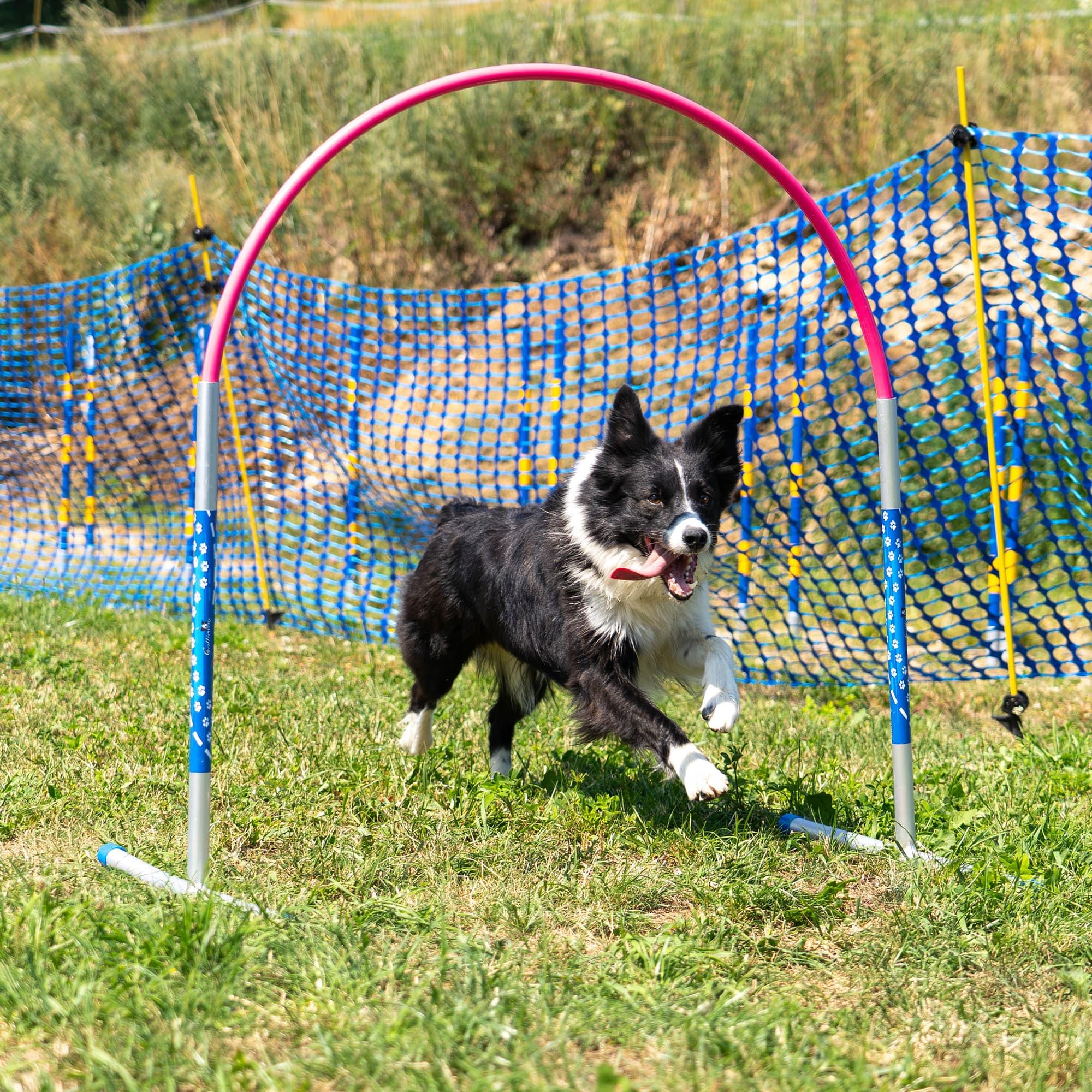 Hoopers Agility Hoops - NADAC Hoopers Agility Hoops bez podpory środkowej (duże opakowanie)