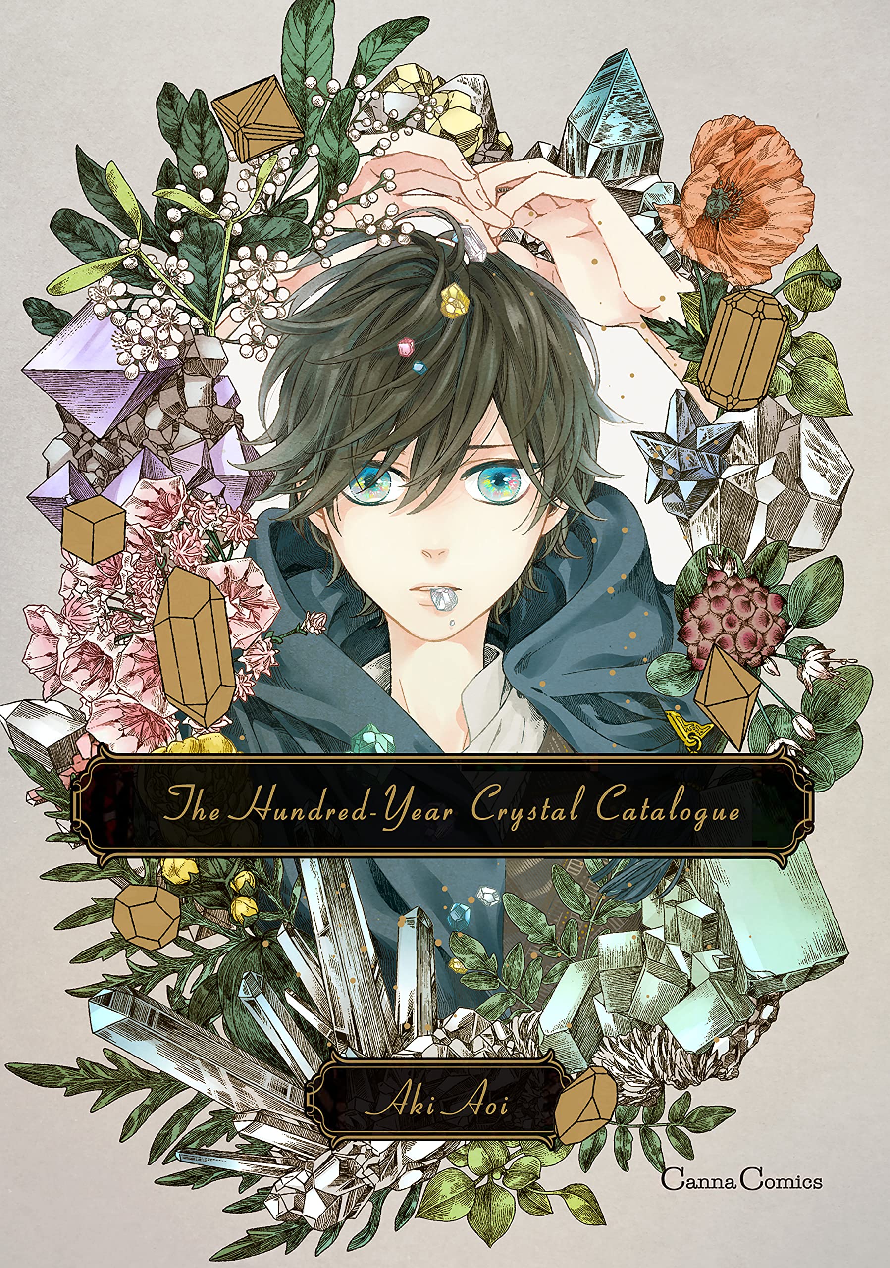 Amazon.com: Aki Aoi: books, biography, latest update