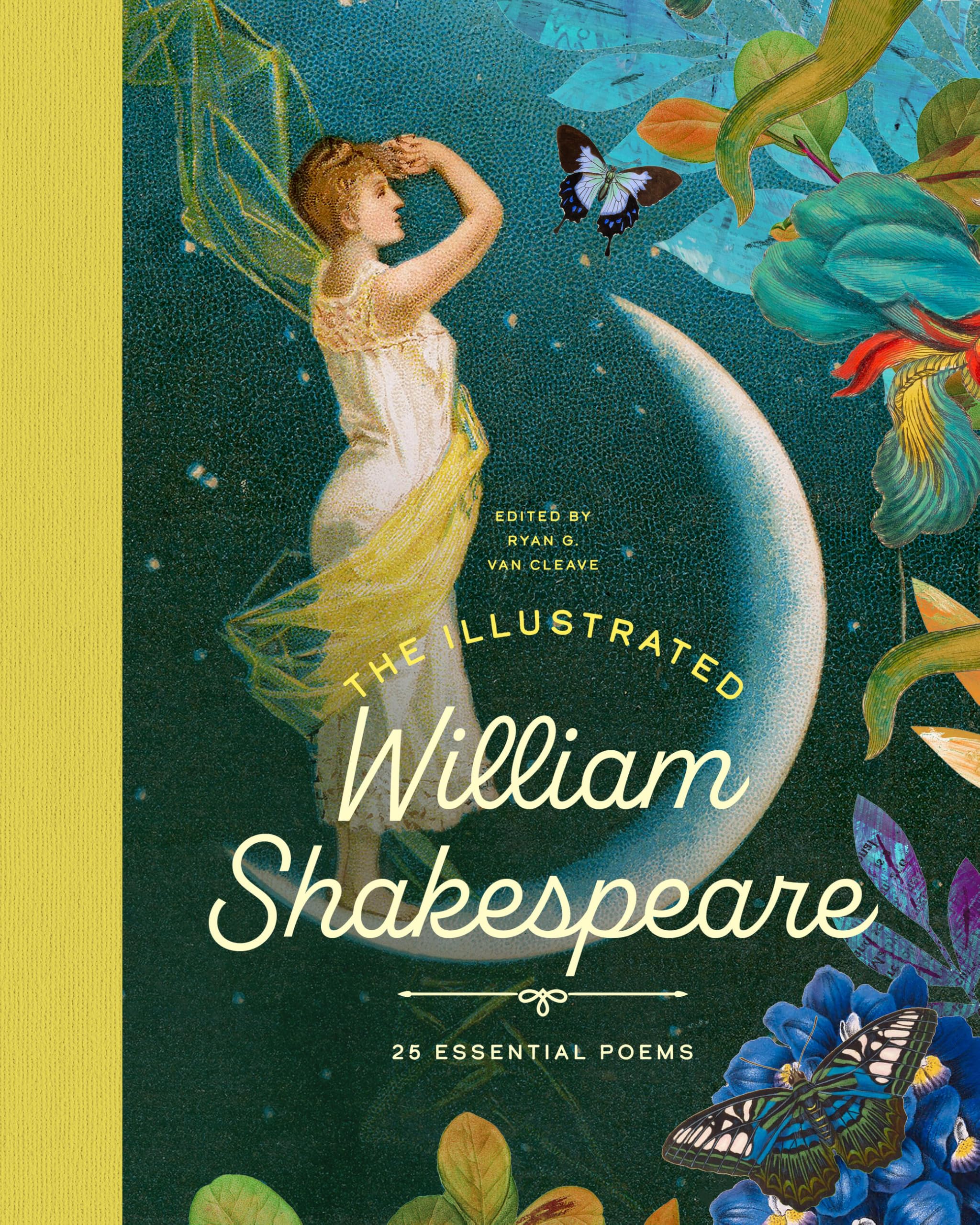 Illustrated William Shakespeare HARDBACK 9781638193081