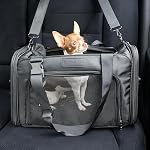 JACKO & CO - Chien Premium & Transporteur de chats jusqu'à 10lbs, TSA Ligne aérienne approuvée avec boucle à bagages, sac de transport pour animaux domestiques, petits chiens, chiots, chatons, fenêtres aérées & Entièrement collapsibles