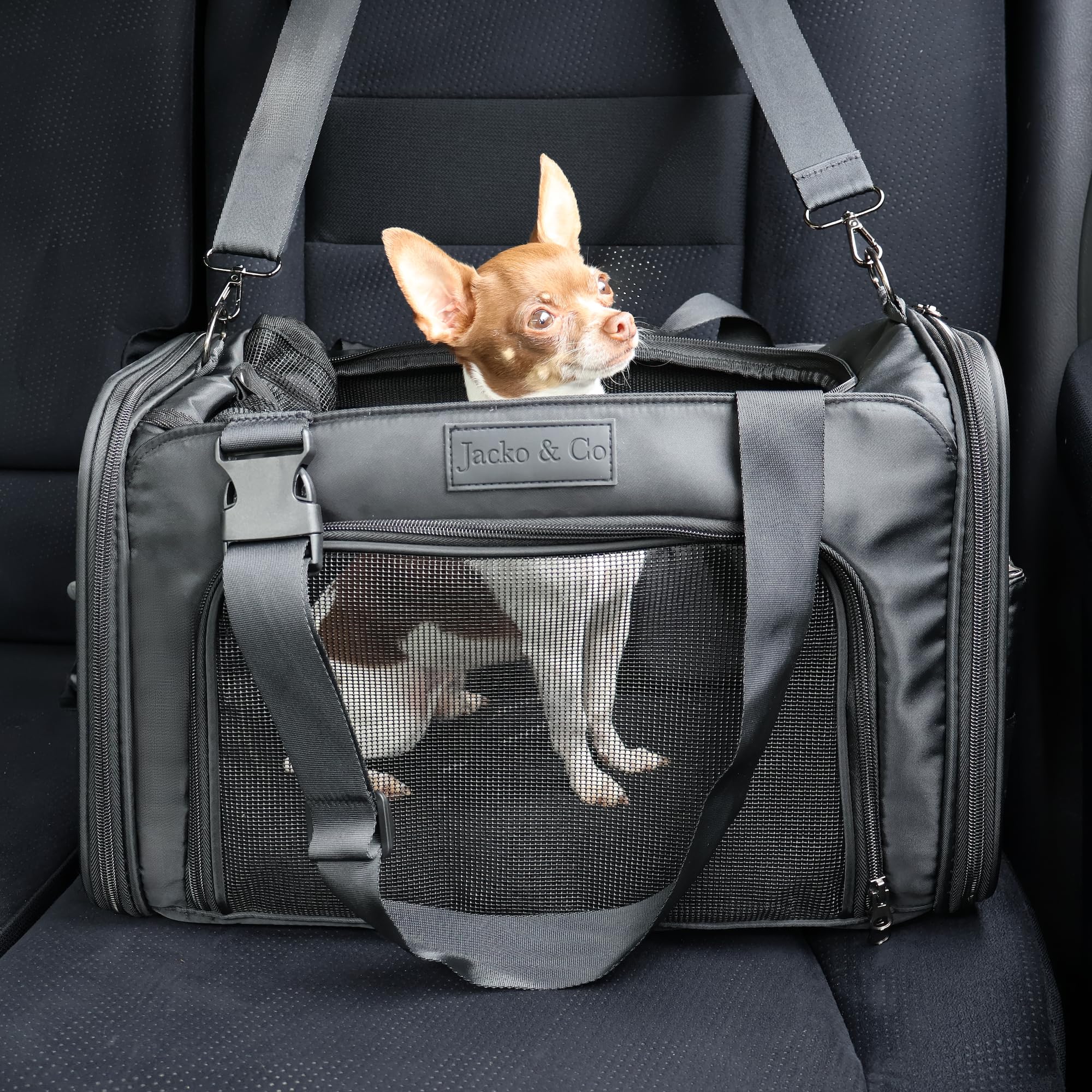 JACKO & CO - Premium Dog & Cat Carrier up to 10lbs, TSA Airline Approved with Luggage Loop, Soft-Sided Travel Carrier Bag for Pets, Small Dogs, Puppies, Kittens, Ventilated Windows & Fully Collapsible