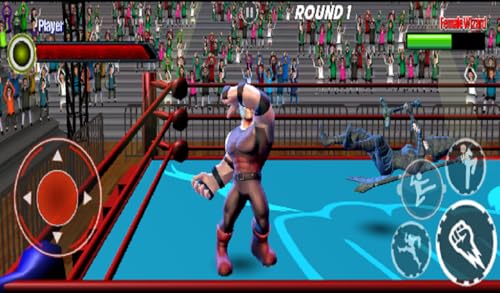 Grand Warrior Fighting Ring Master Game