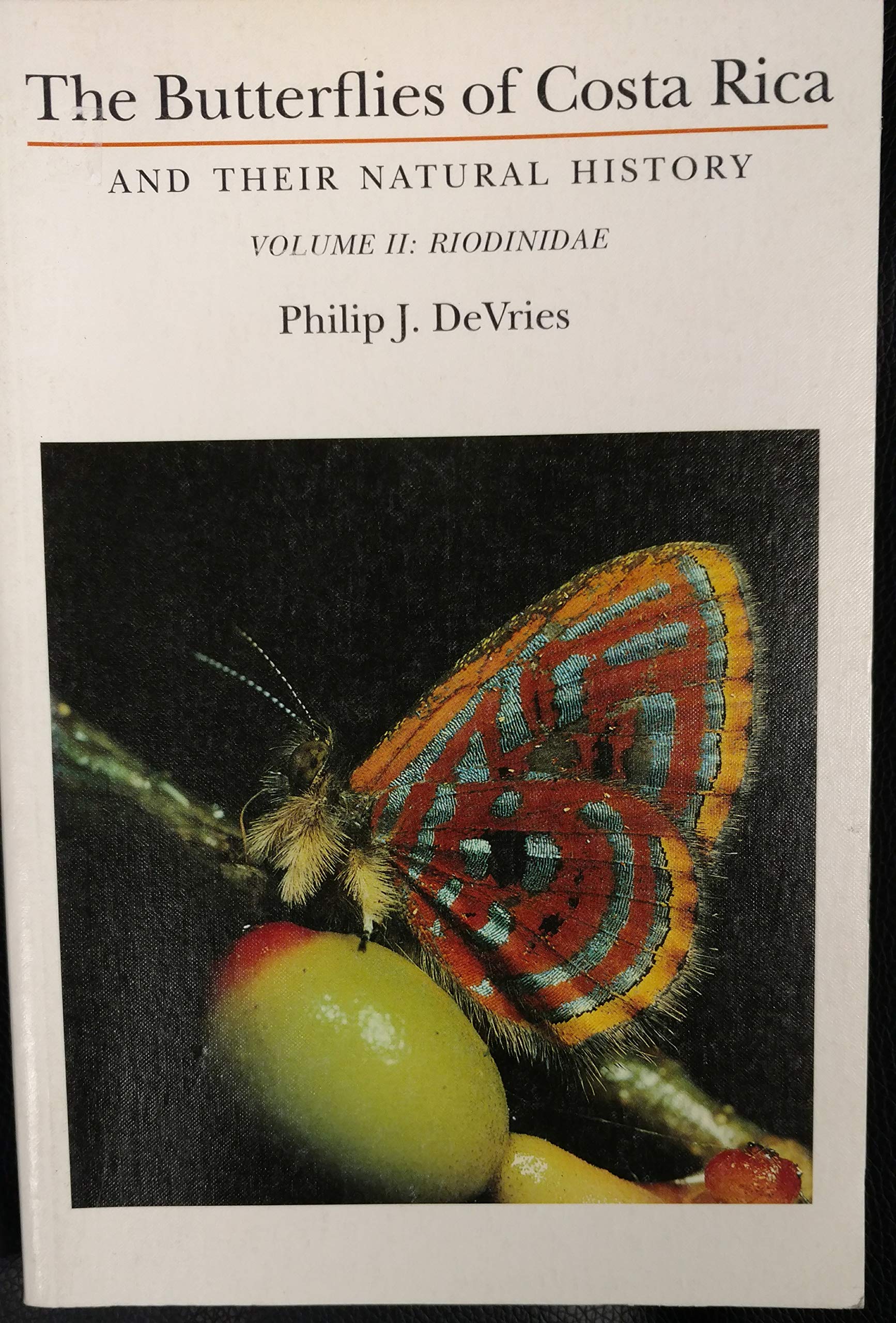 product_img5