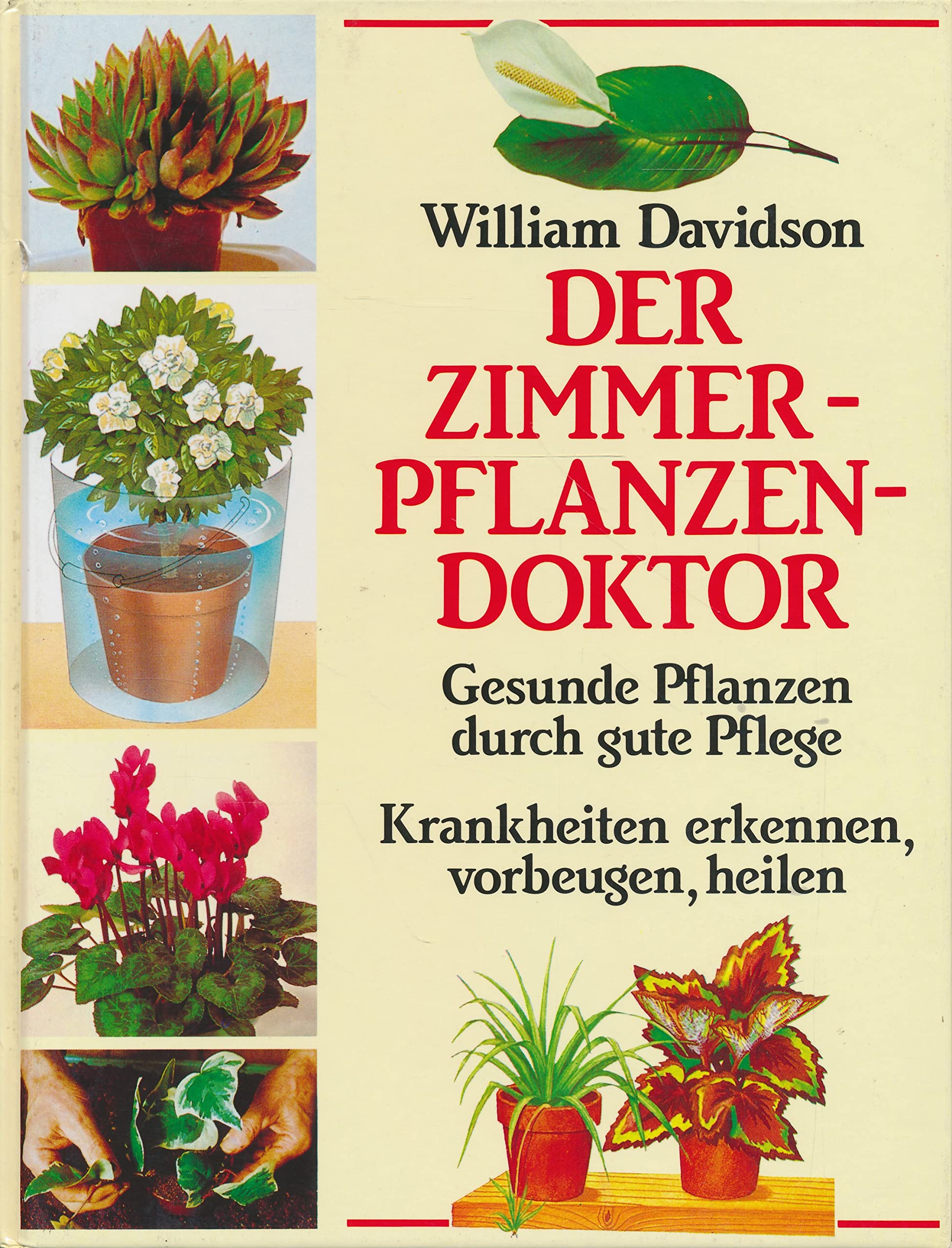 Der Zimmerpflanzendoktor: Gesunde Pflanzen durch gute Pflege. Krankheiten  erkennen, vorbeugen, heilen : Davidson, William: Amazon.de: Bcher