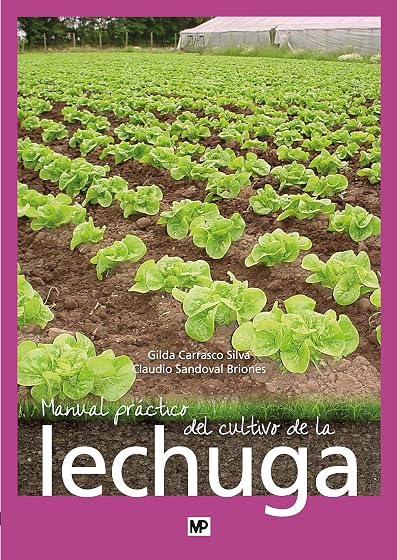 Manual práctico del cultivo de la lechuga