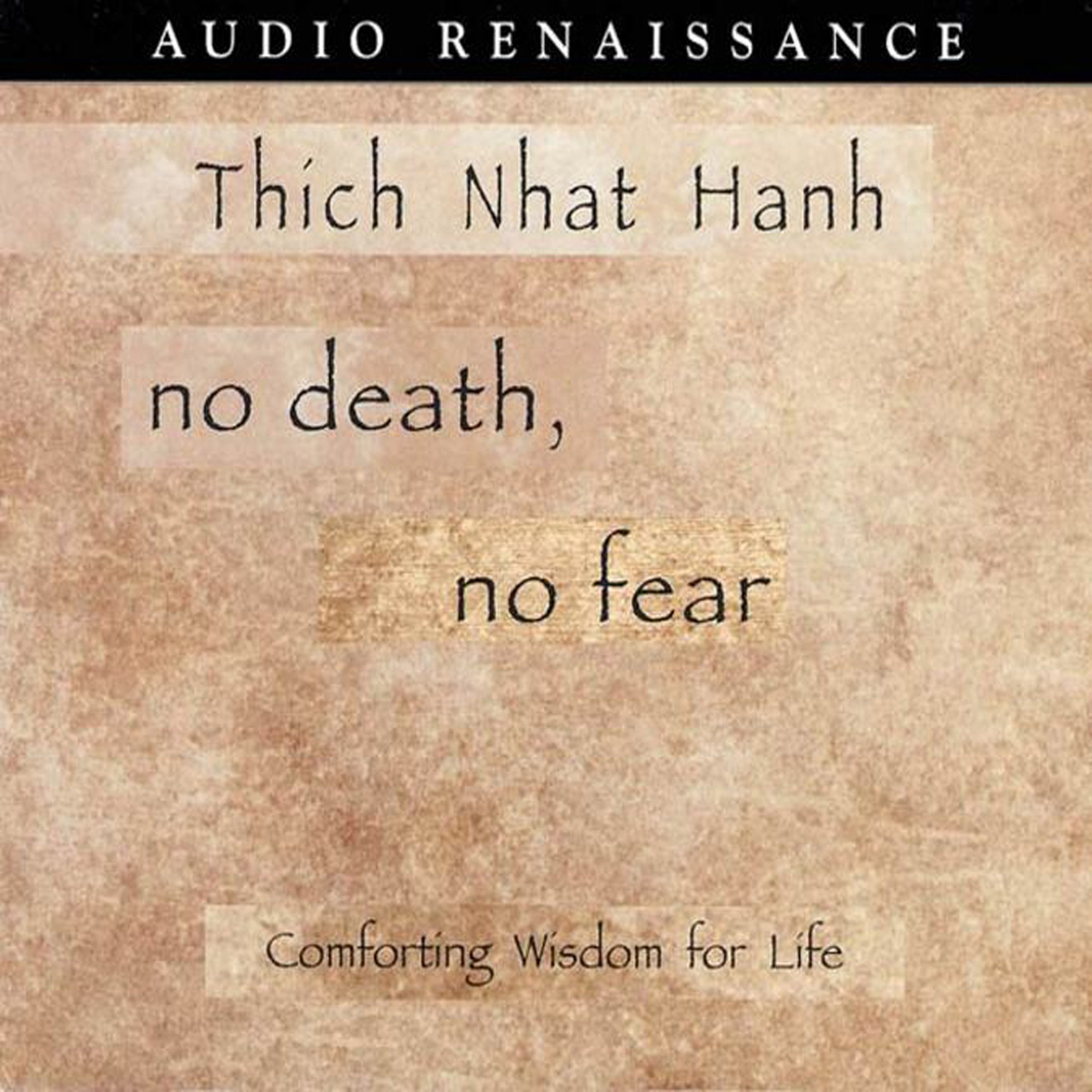 Cover art for No Death, No Fear: Comforting Wisdom for Life