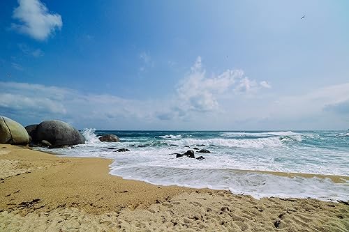 Miniatura 4 de Samyang Lente F2.8 de 0.394 in para Sony-E