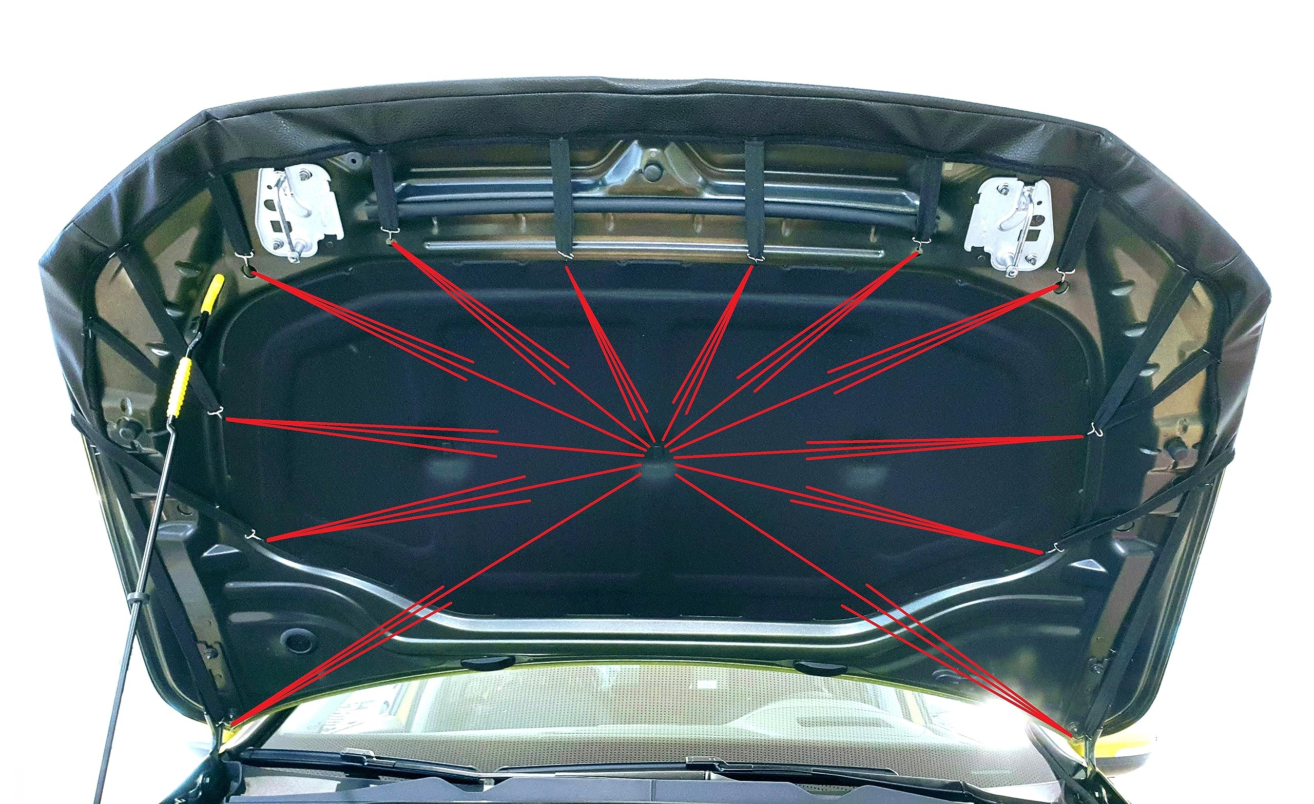 Amazon | AB3-00546 カーボンファイバーの外観 ボンネットプロテクター