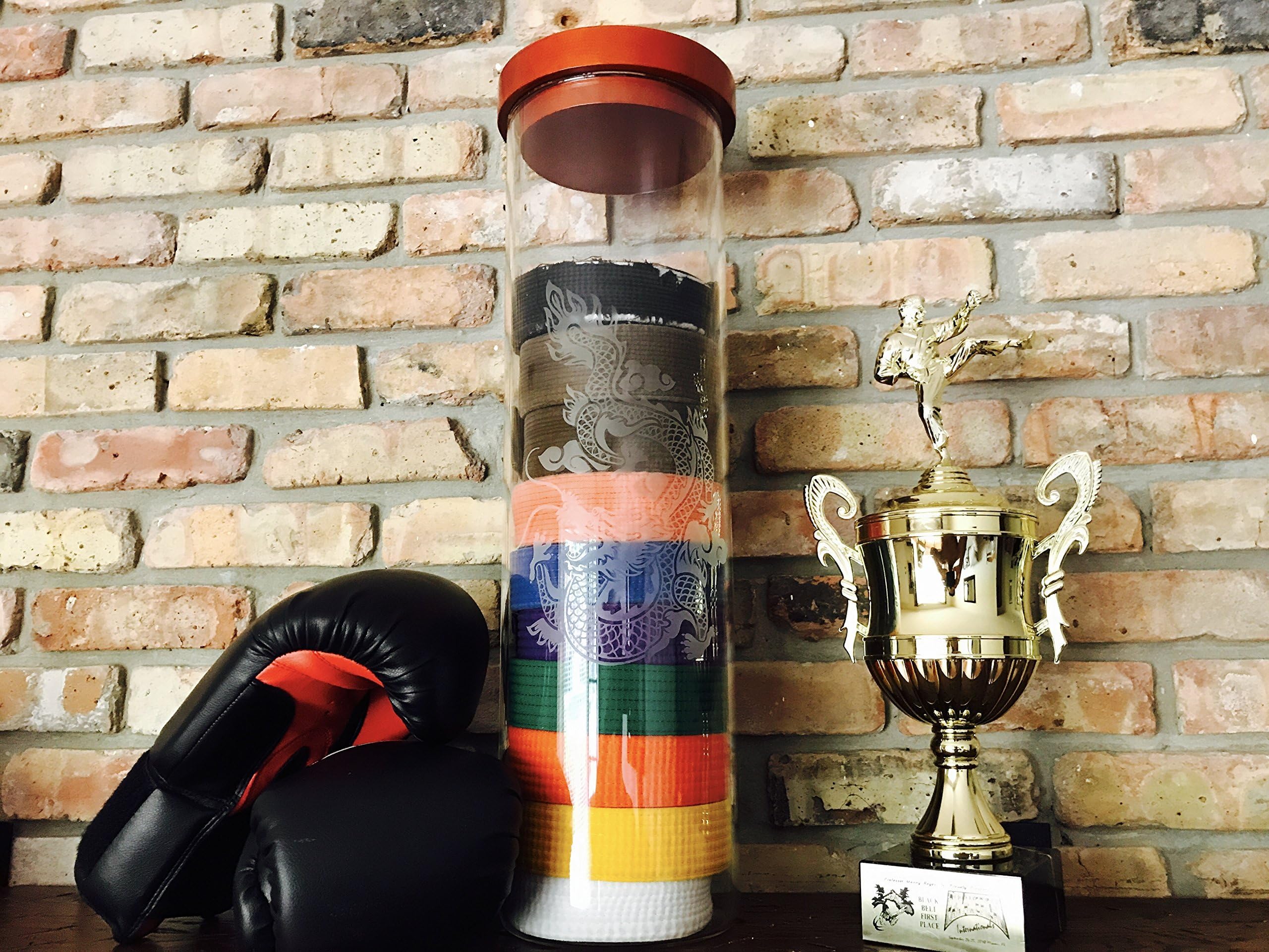 10 Level Martial Arts - Karate Belt Display Case - Real Glass No Cheap Plastic