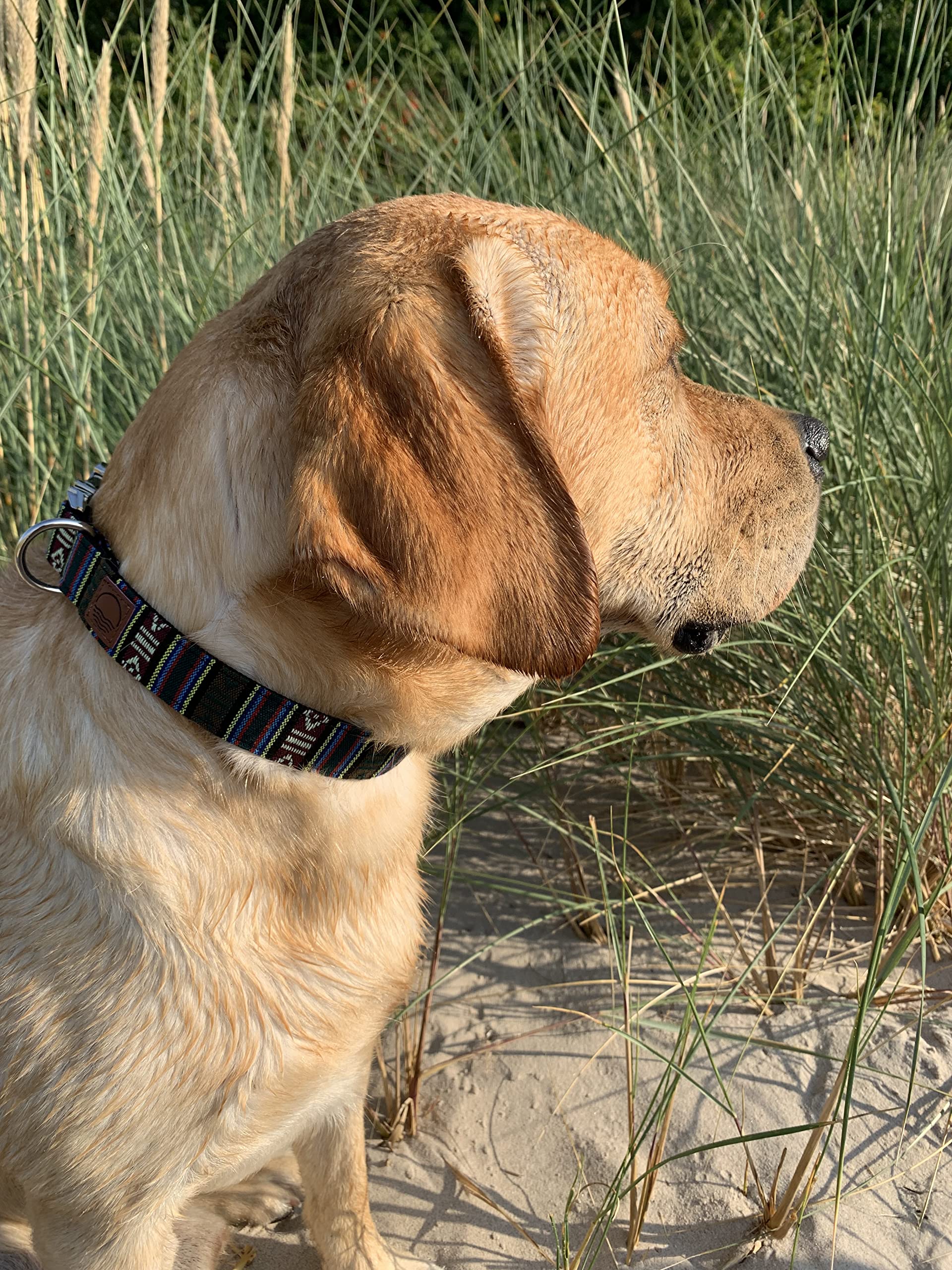 Made by Nami Boho Nylon Dog Collar with Matching Bracelet, Various Sizes Small & Large Dogs, Adjustable - Image 2