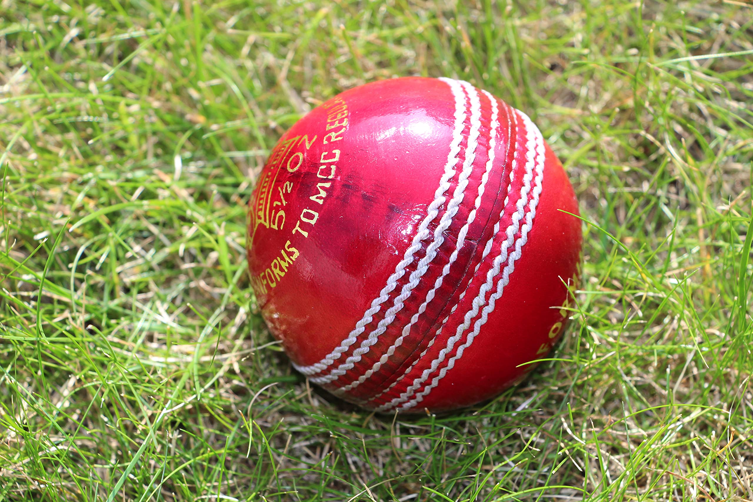Cricket-Bälle, hochwertig, für Erwachsene, 6 Stück