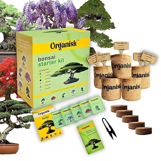 Bonsai Starter Kit - 5 Unique Tree Types, Special DIY Garden Hobby Kits - Great for Plant Lovers, for Kids, Men, Women, and Bonsai Enthusiasts