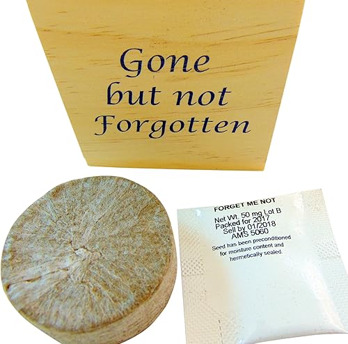 Miniatura 4 de Gone pero no olvidado Memorial Flower Pot Plant cubeta de Madera con No me olvides las semillas