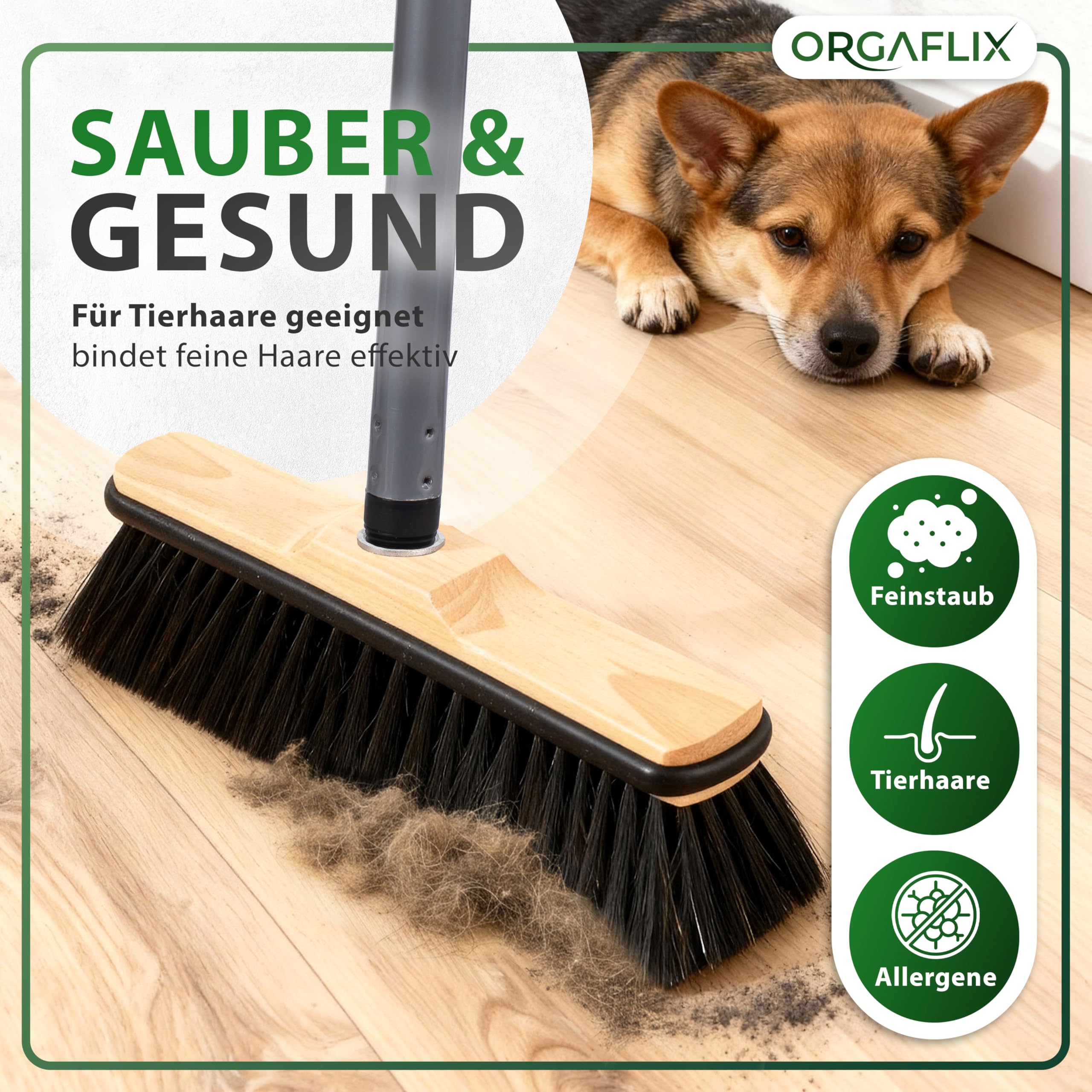 ORGAFLIX Premium Zestaw miotły z uchwytem i szczotki ręcznej - zestaw do zamiatania z mieszanką włosia konia, dodatkowo odpylający, gwint ocynkowany 24 mm, uchwyt miotły regulowany 60–130 cm