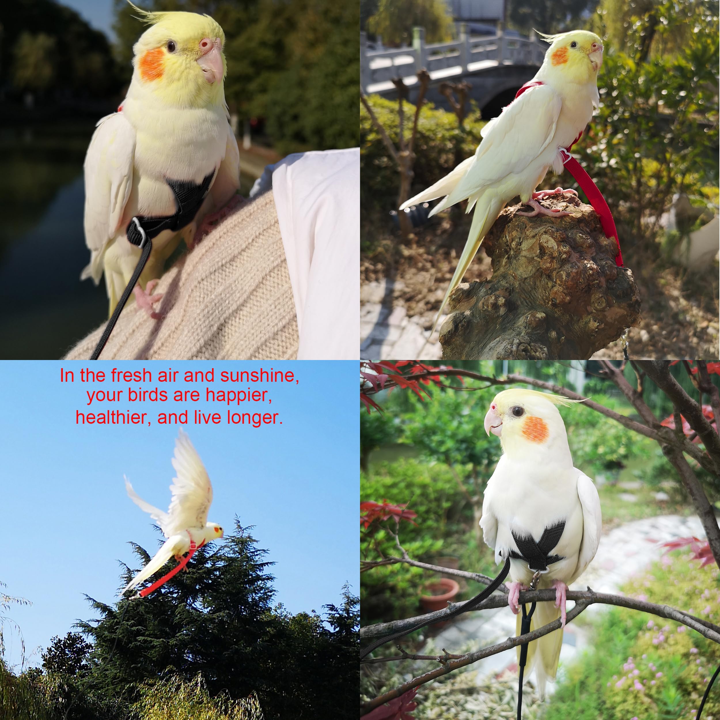 VANFAVORI Adjustable Bird Harness with 80 Inch Leash, Outdoor Flying Kit Training Rope for Bird Parrots Cockatiel S Size Weight 70-120 Grams, 2 Pieces