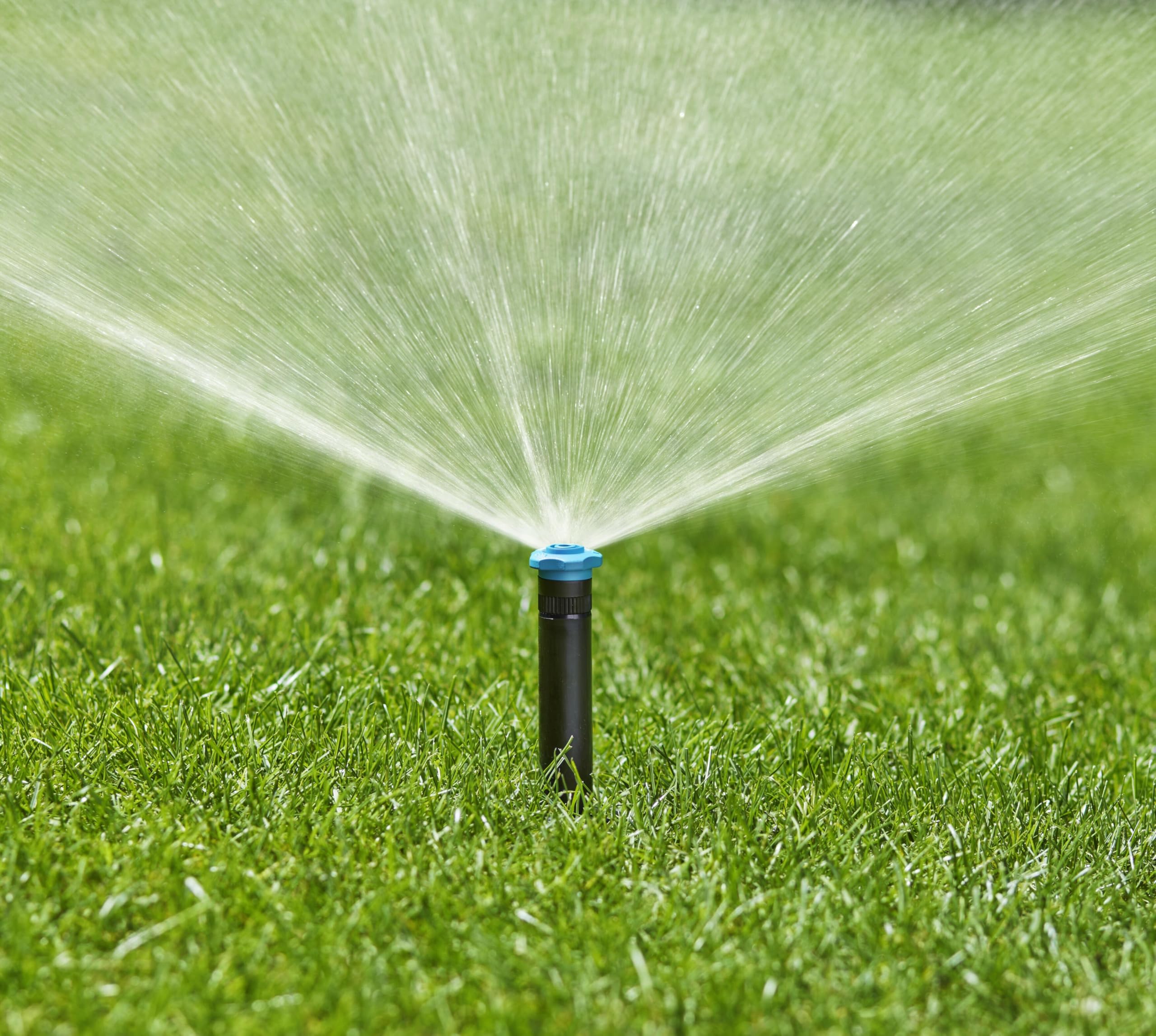 Gardena Sprinklersystem Irrigatore Pop-up SD30: sistema di irrigazione pop-up per prati piccoli fino a 30 m², gittata 1,5–3 m, con ugello, filetto femmina 1/2 pollici (8241-20) (Confezione da 5)
