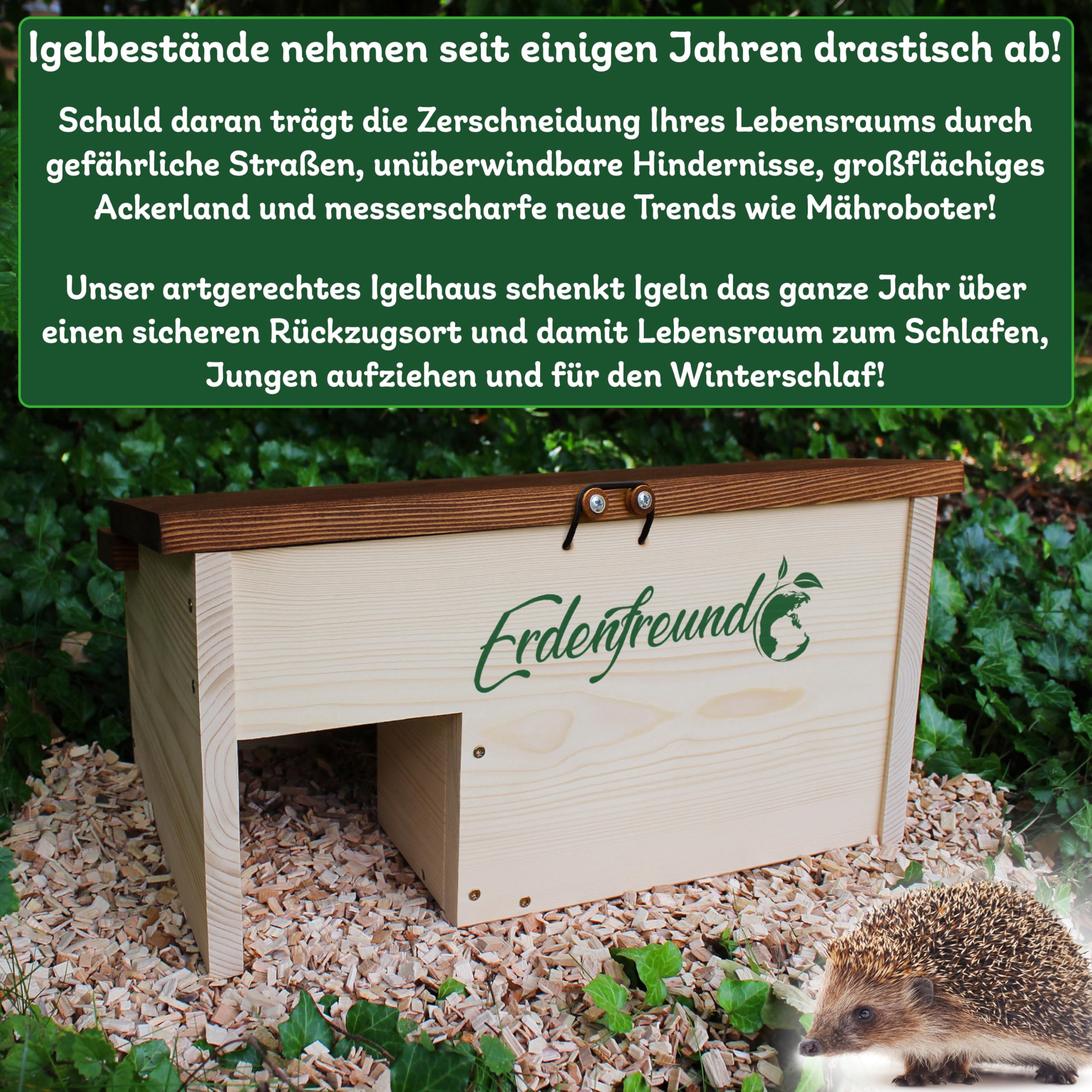 Erdenfreund® Casetta per ricci con chiusura di sicurezza sul tetto e ingresso labirinto contro Fressfeinde riccio e nidificazione per una famiglia di ricci (casa invernale per ricci)