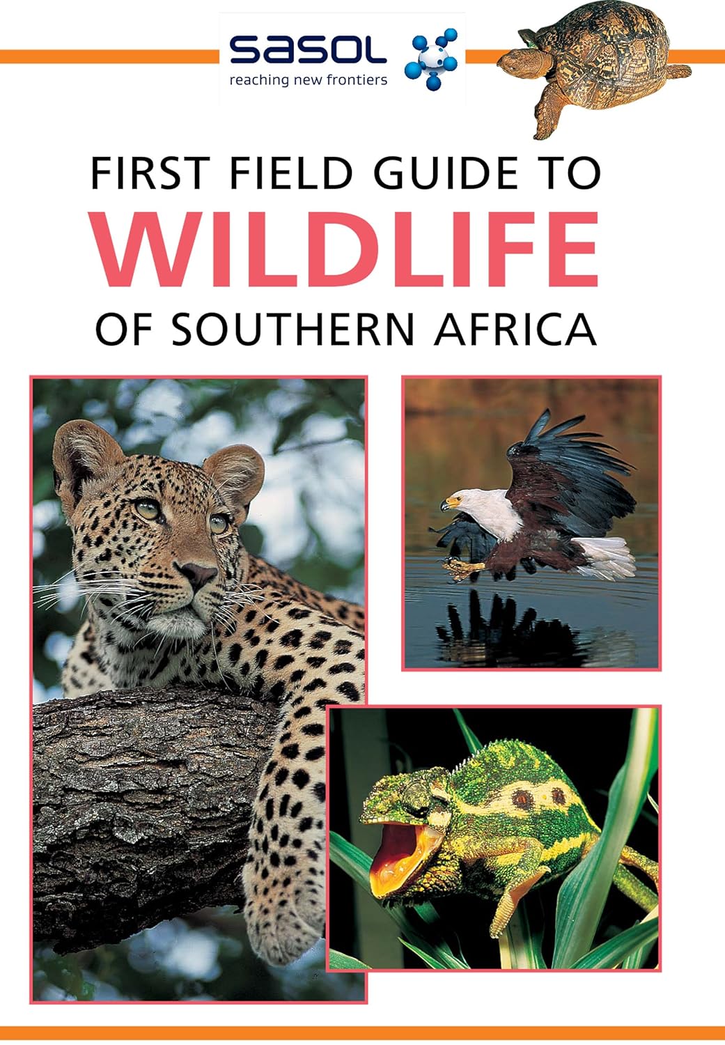 Sasol First Field Guide to Wildlife of Southern Africa , Fraser, Sean ...