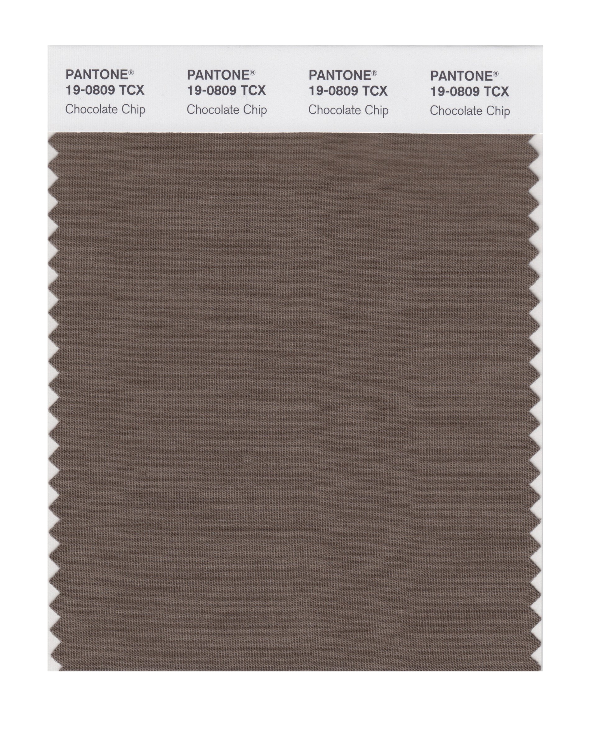 PANTONE Smart 19-0809X Color Swatch Card, Chocolate Chip - House