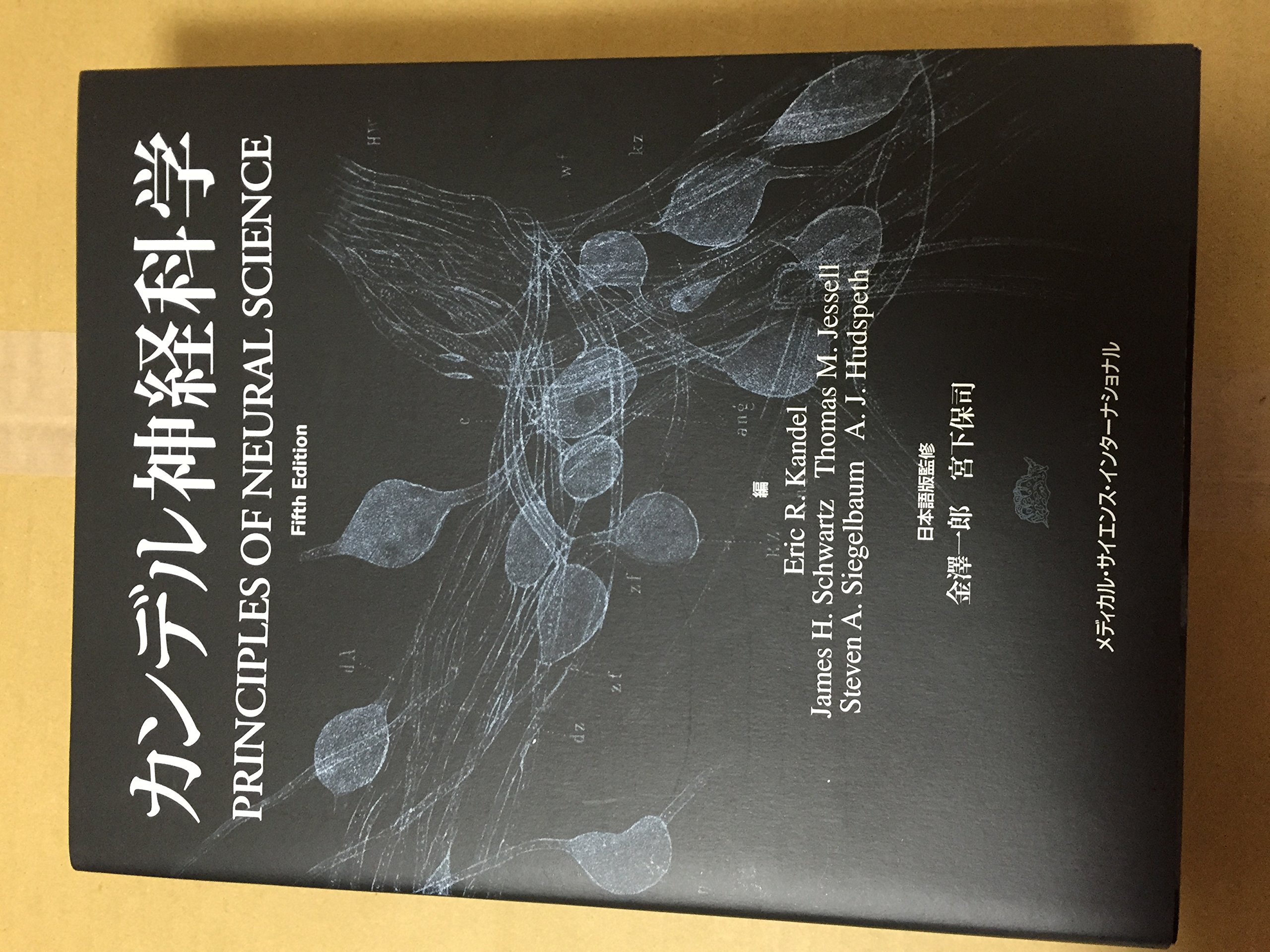 カンデル神経科学 910u6oCFKIL.jpg