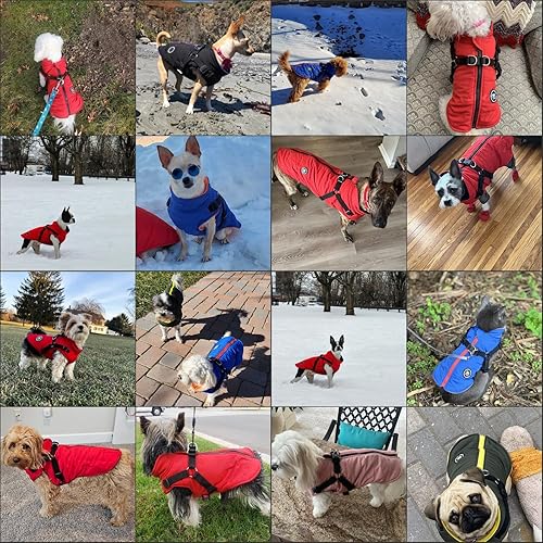 Miniatura 3 de Norbi - Chaqueta de invierno para perros con arnés incorporado, abrigo impermeable y resistente al viento para clima frío para perros pequeños,