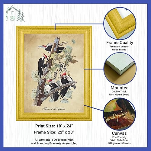 Vista 331 de Towee Bunting by James Audubon - Marco biselado negro de 12 x 16 pulgadas, decoración artística enmarcada para pared, reproducción de pinturas