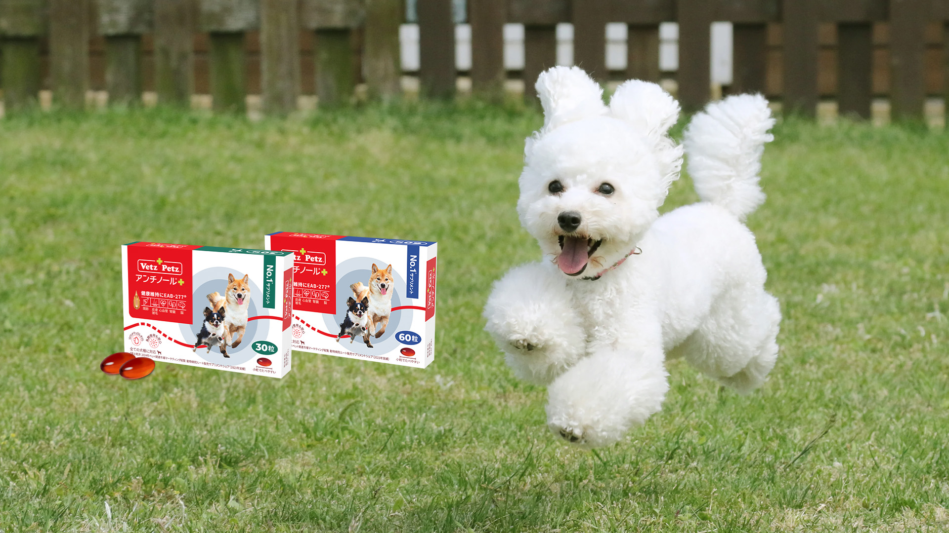 Amazon.co.jp: 【動物病院推奨】【公式】アンチノール プラス 犬