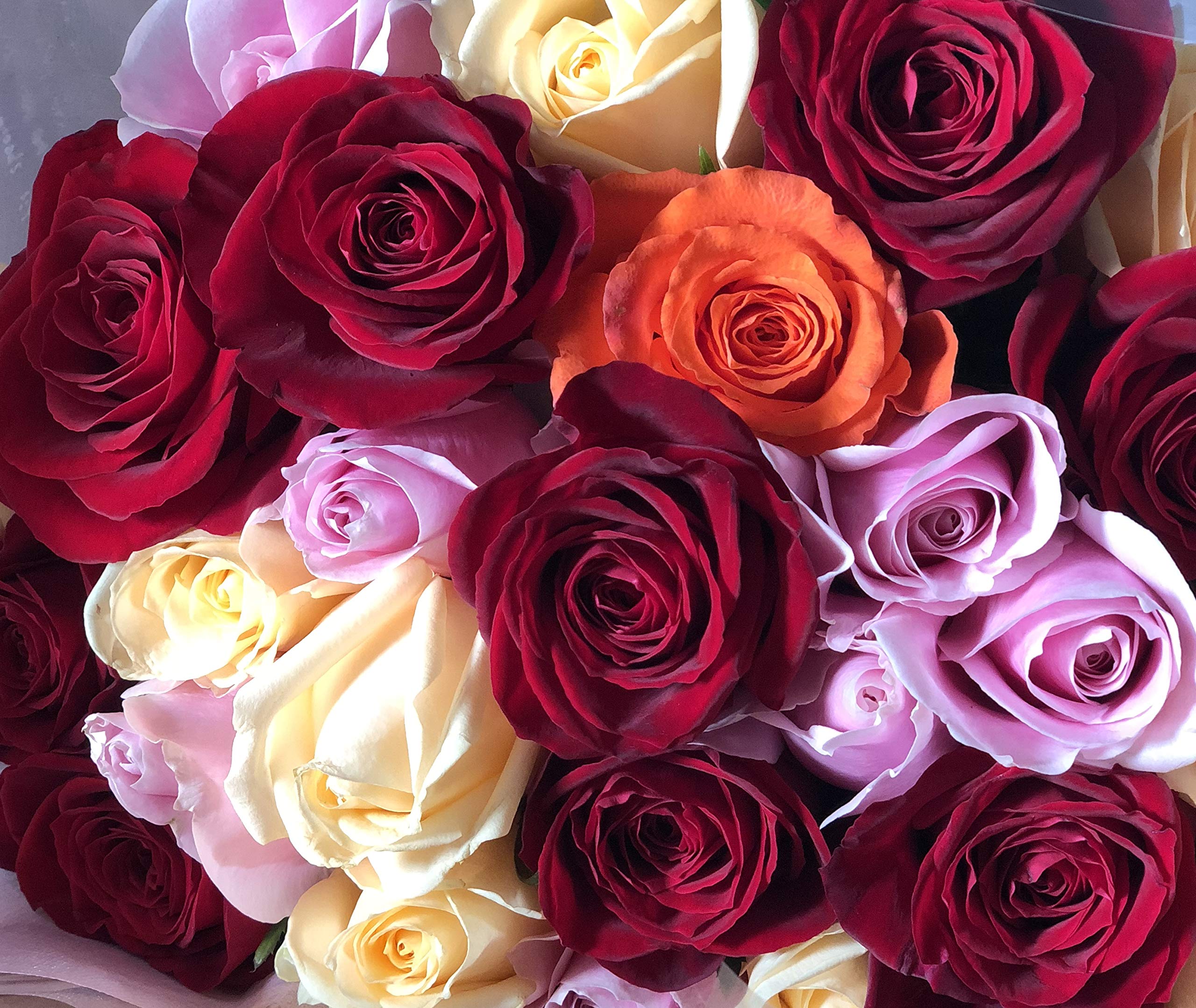 Amazon｜PURIZA バラ ミックス 花束 おまかせ バレンタイン 母の日 お