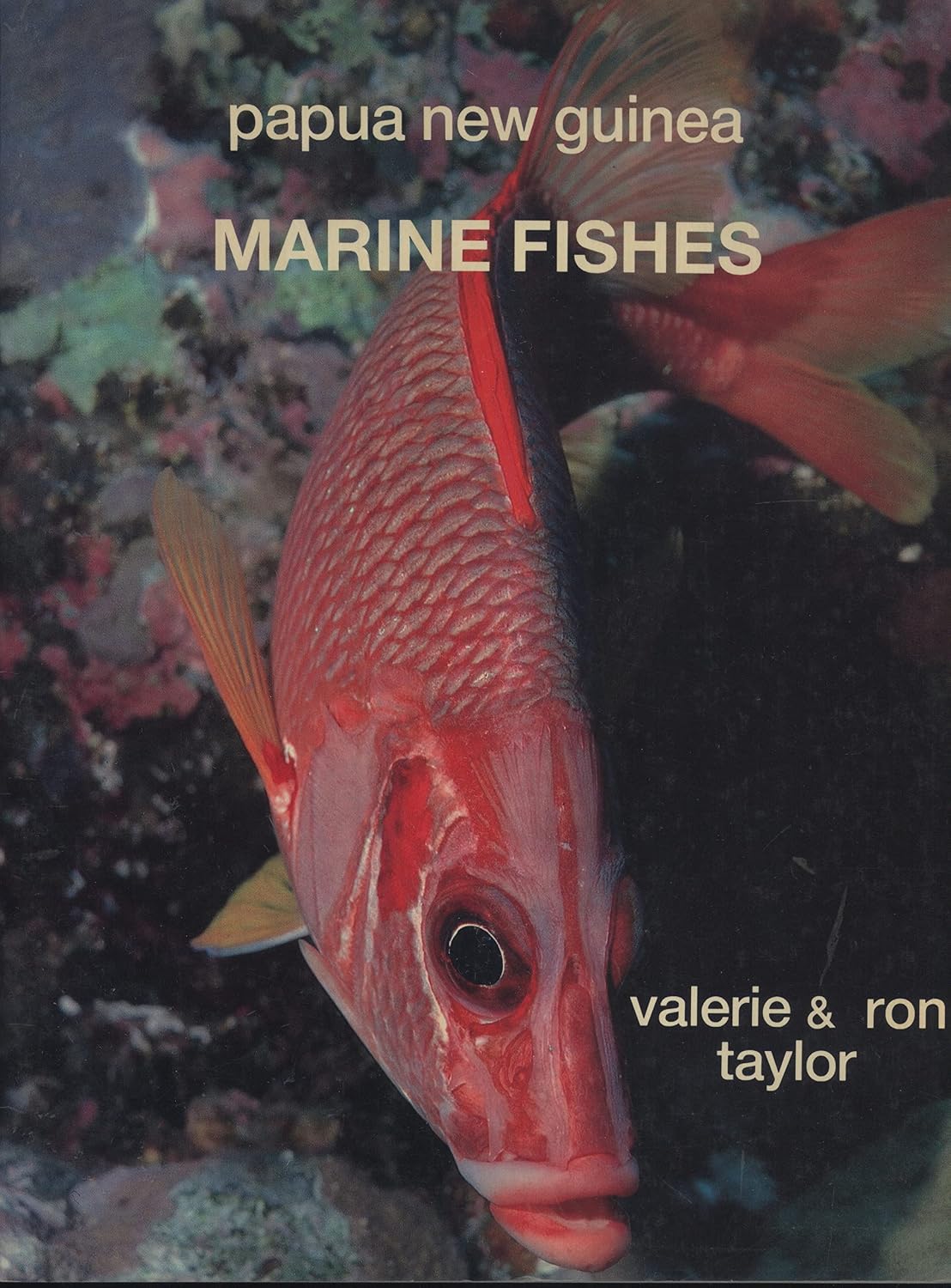 Papua New Guinea Marine Fishes Valerie Taylor Ron Taylor papua-new-guinea-marine-fishes-valerie-taylor-ron-taylor