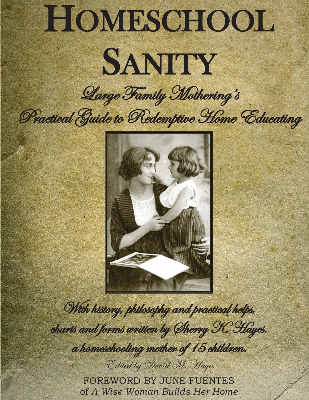 Homeschool Sanity: A Practical Guide to Redemptive Home Educating
